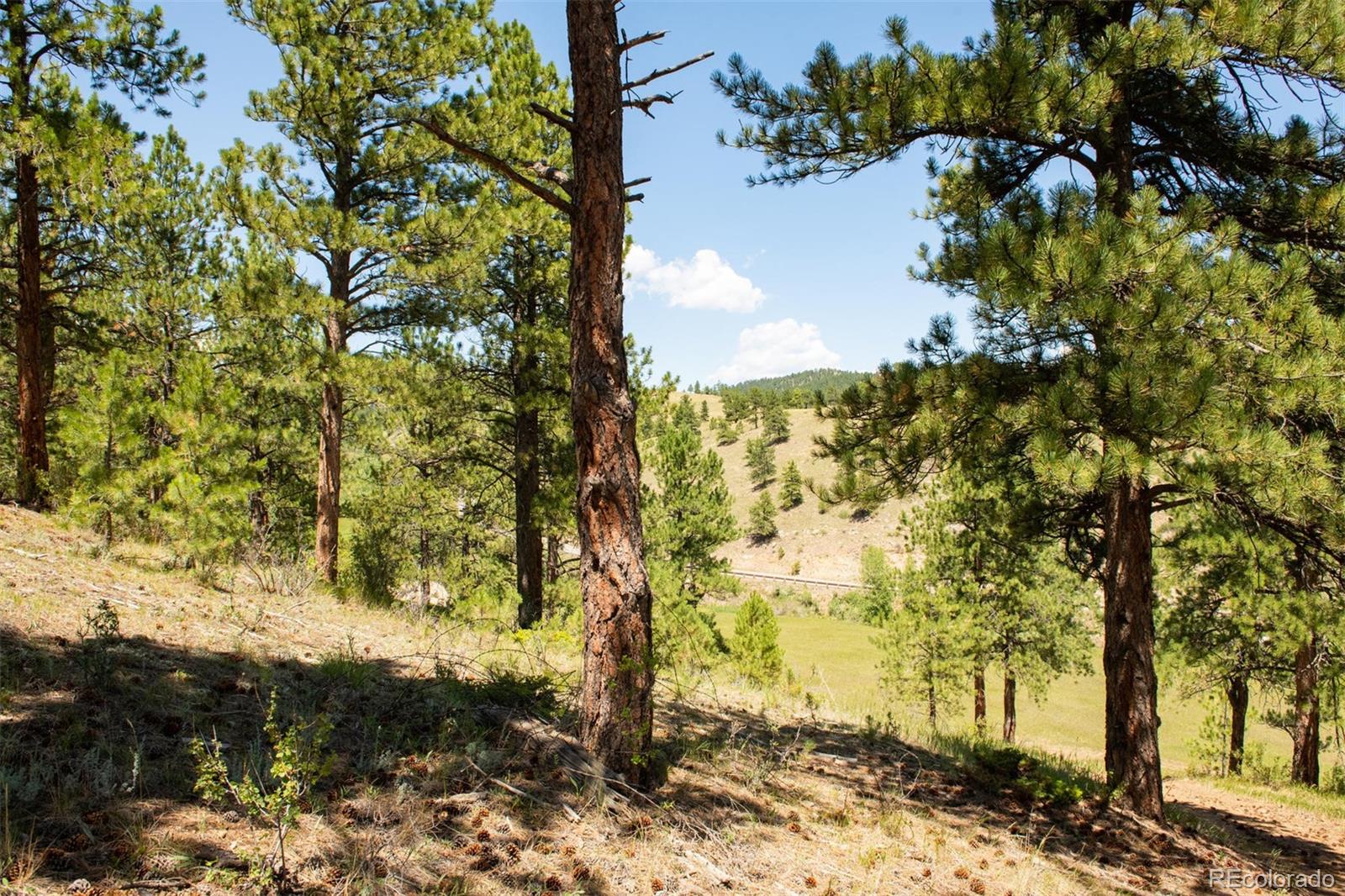 2345 Legacy Ranch Road Evergreen, CO 80439 - Photo 8 of 12 a view of a yard