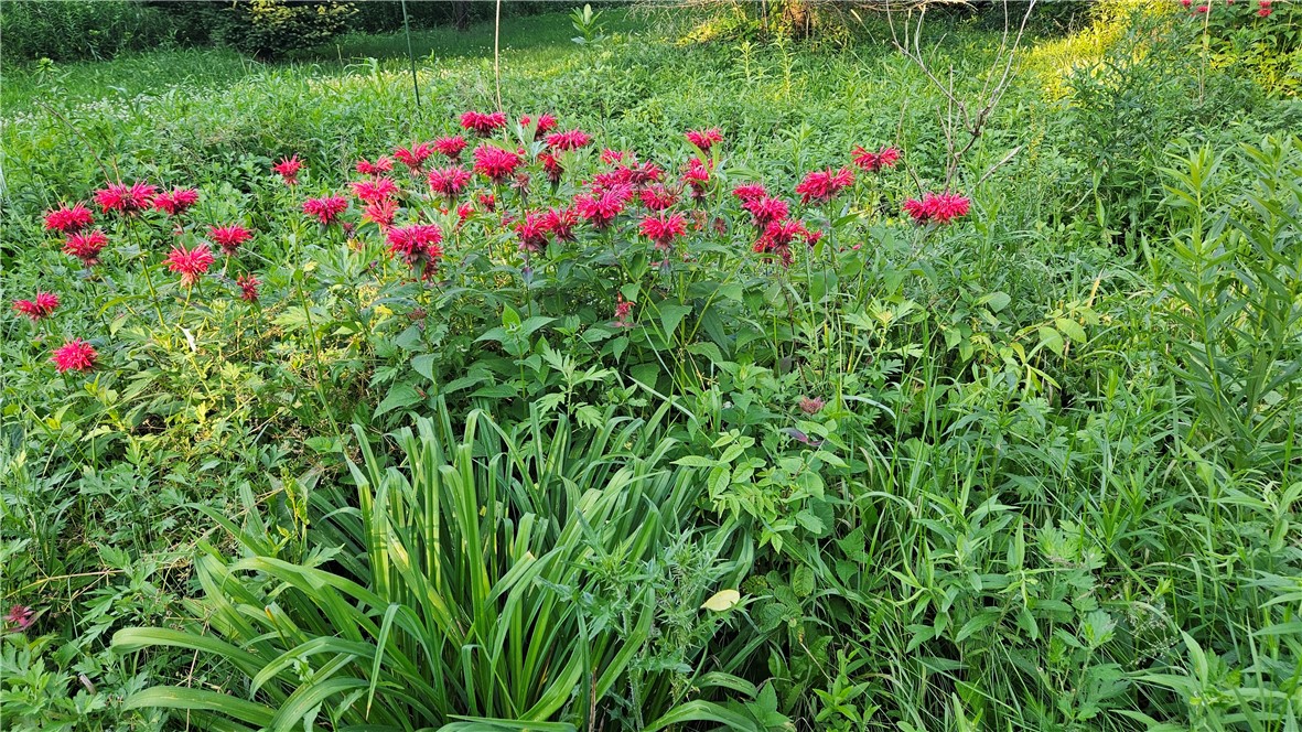 171 Works Road Rush, NY 14472 - Photo 48 of 49