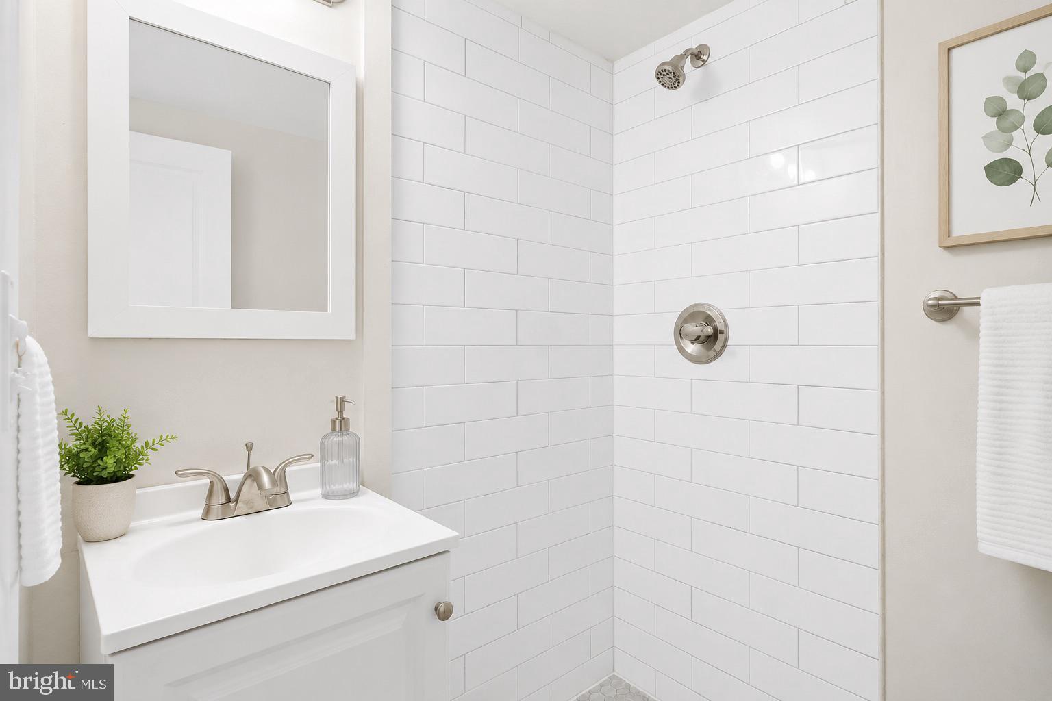 113 15th Street Southeast Washington, DC 20003 - Photo 20 of 24 Unit #1 Bathroom