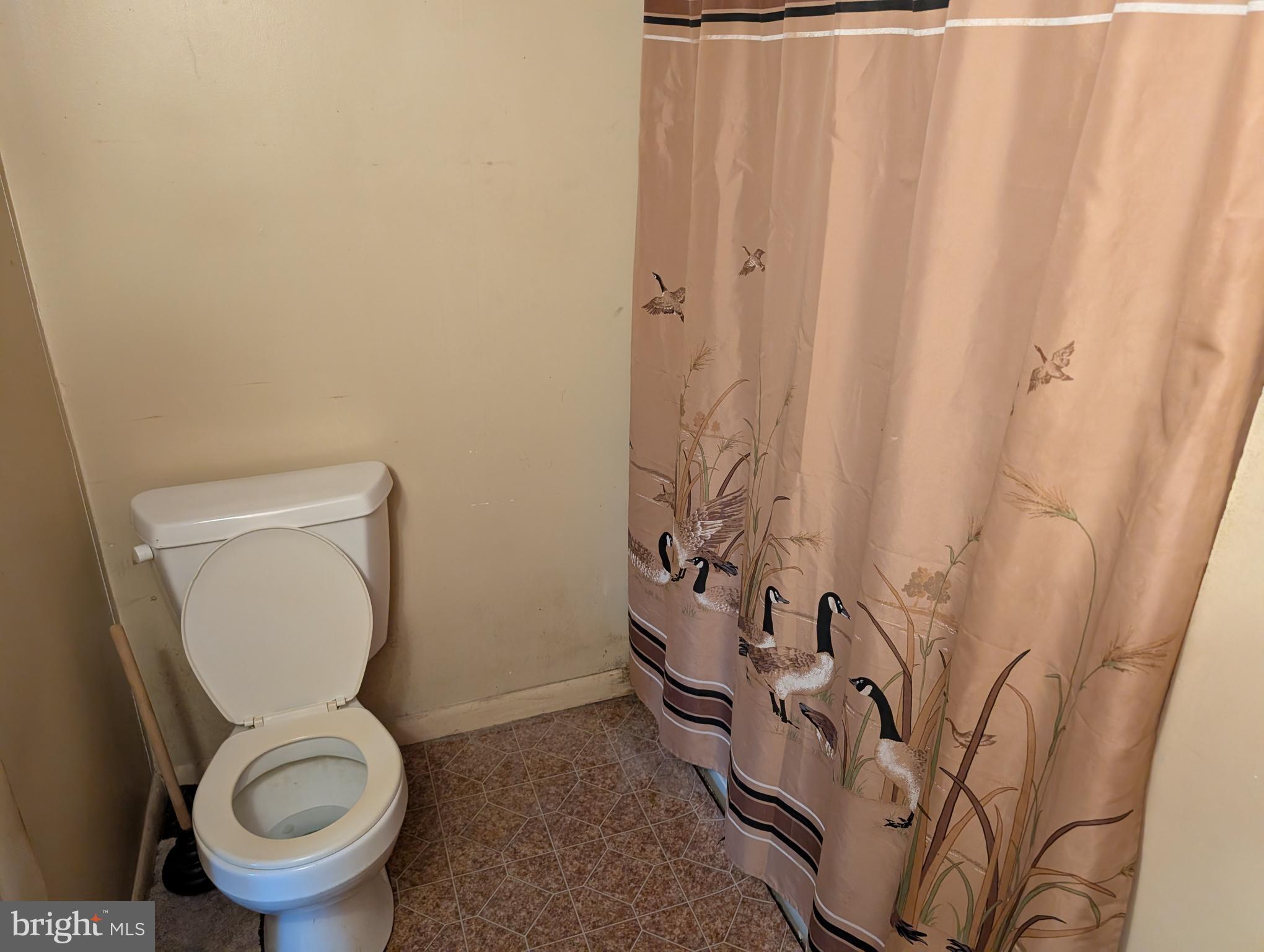 6 West State Street Delmar, MD 21875 - Photo 7 of 10 a bathroom with a toilet and a sink