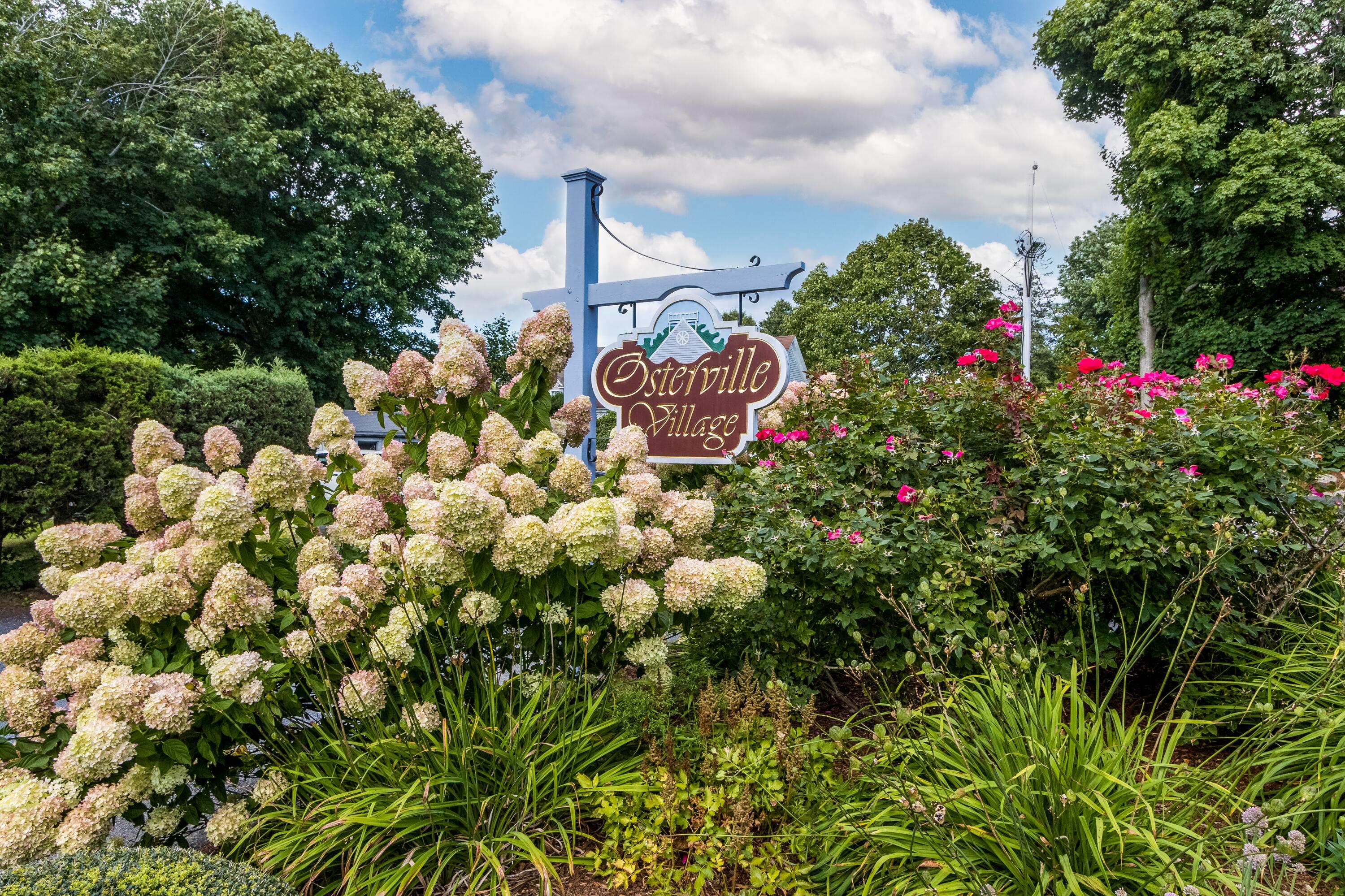 a view of a bunch of flowers