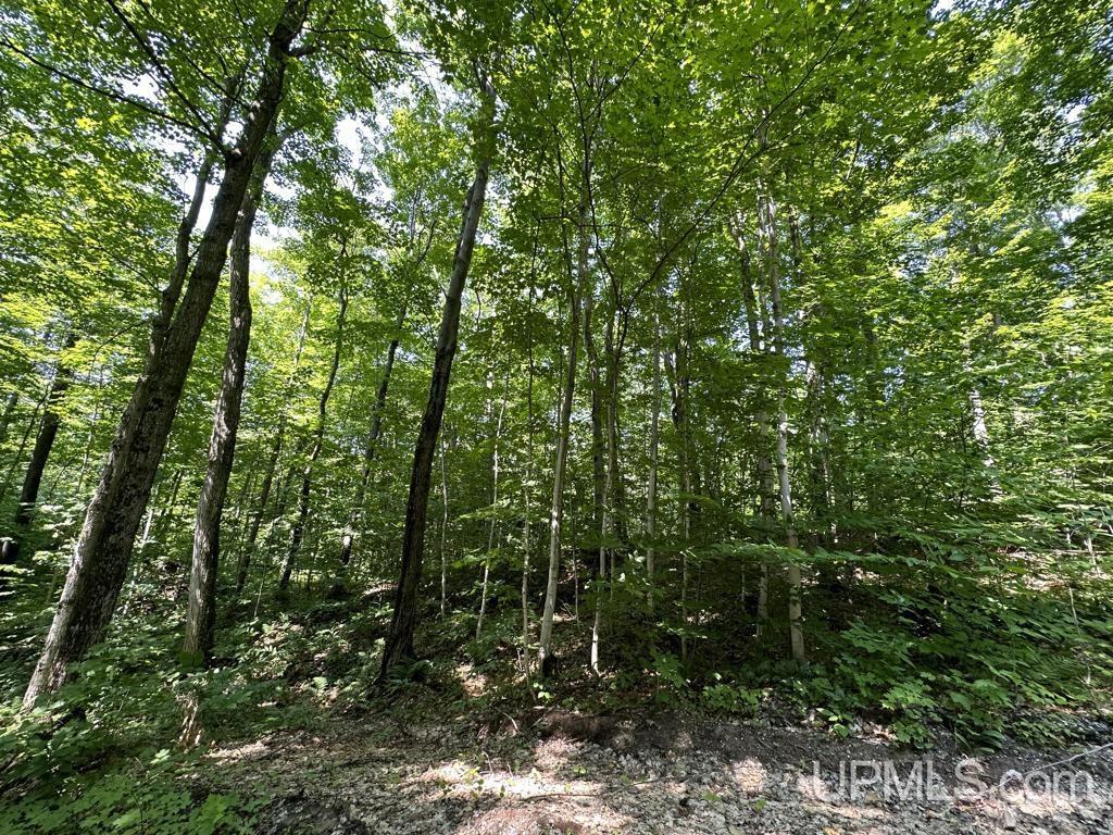 0 Cemetery Road Munising, MI 49862 - Photo 25 of 34 Gallery Image 25