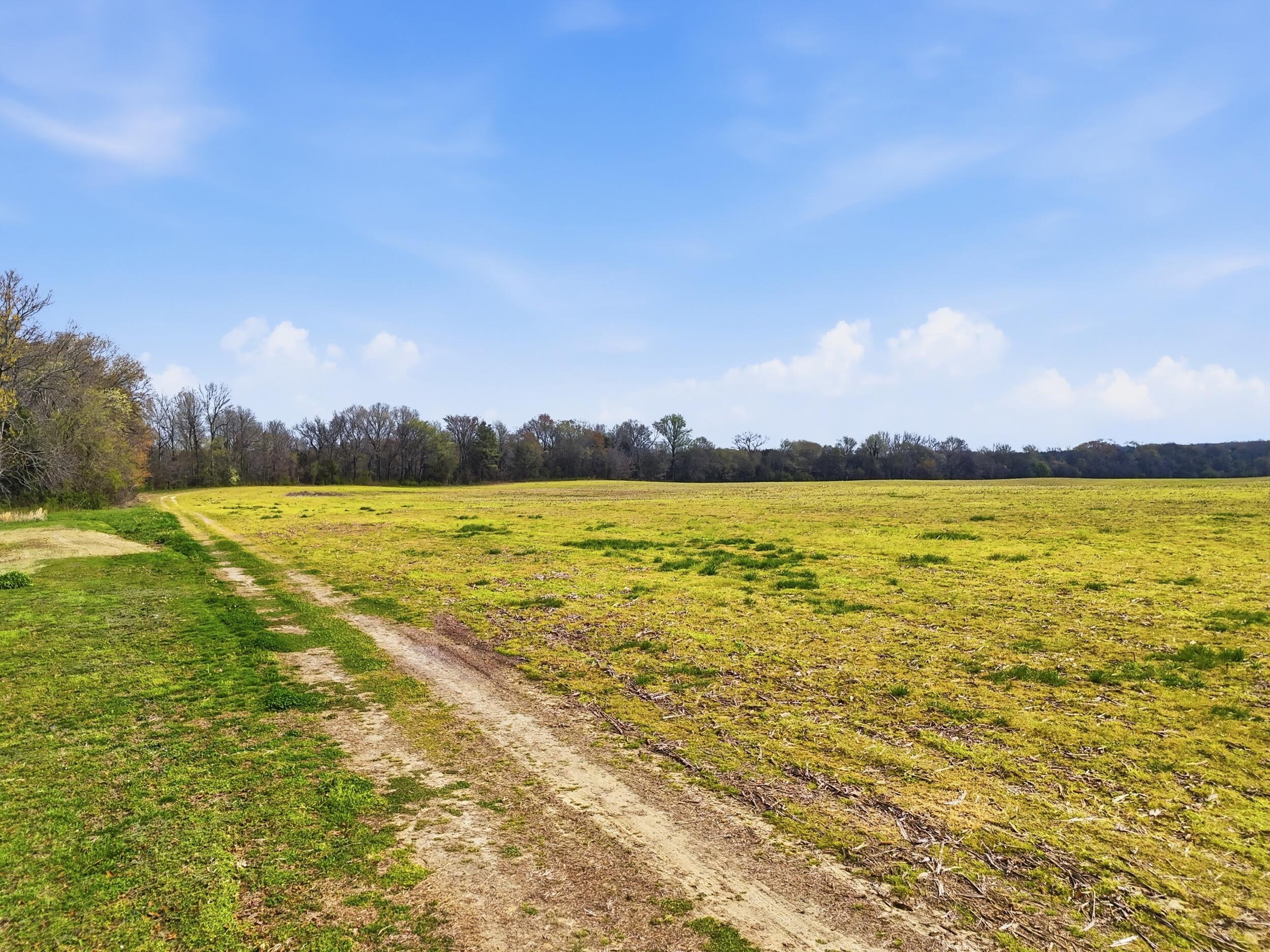 0 Bowling Alley Road Manchester, TN 37355 - Photo 11 of 18 dji_20260326235652_0088_d