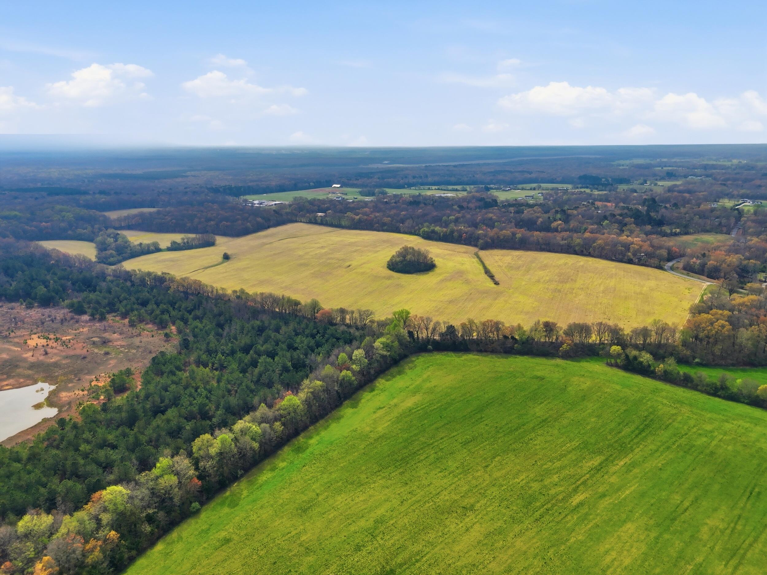 0 Bowling Alley Road Manchester, TN 37355 - Photo 12 of 18 dji_20260326234636_0018_d