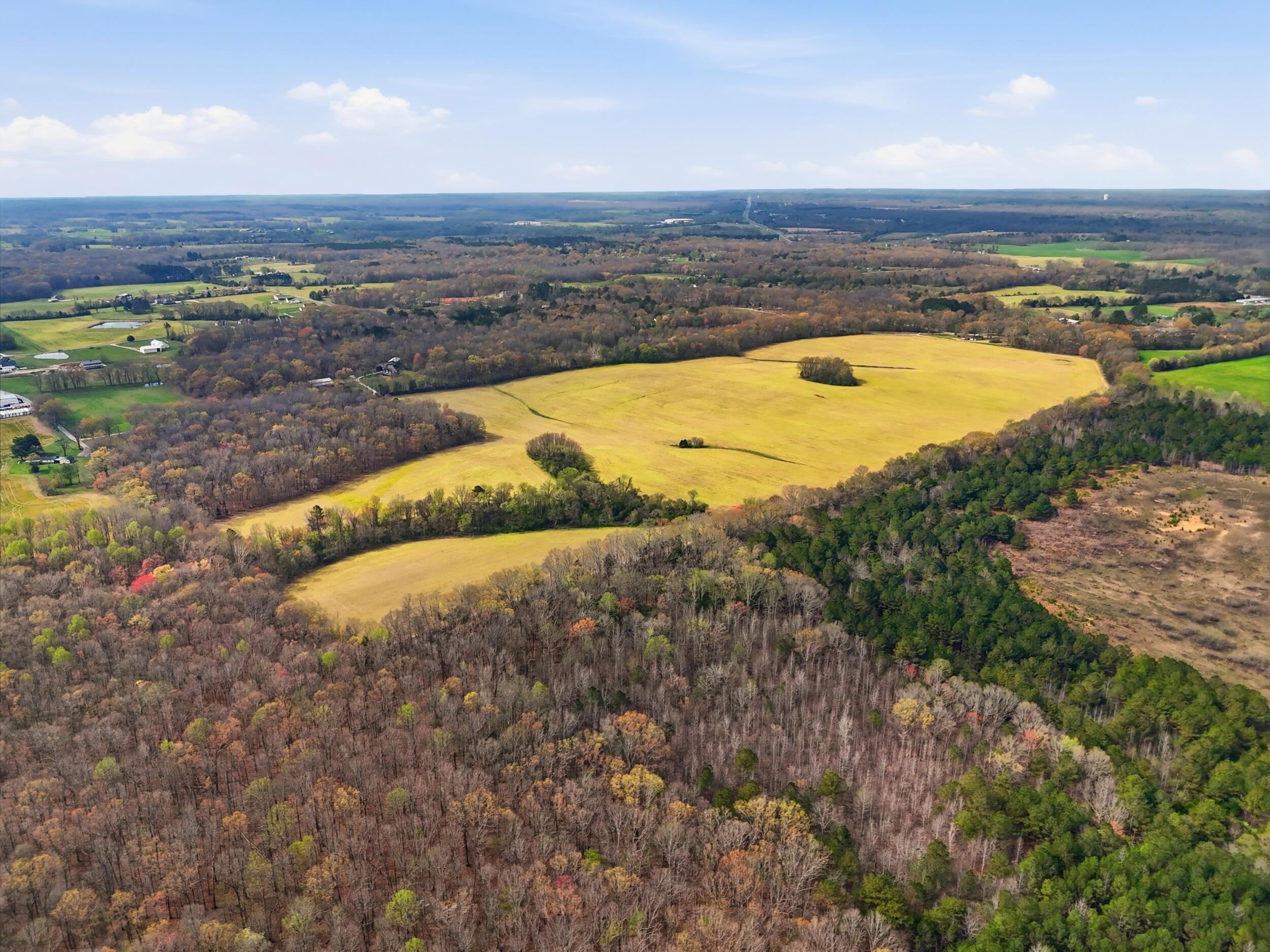 0 Bowling Alley Road Manchester, TN 37355 - Photo 14 of 18 dji_20260326234847_0033_d