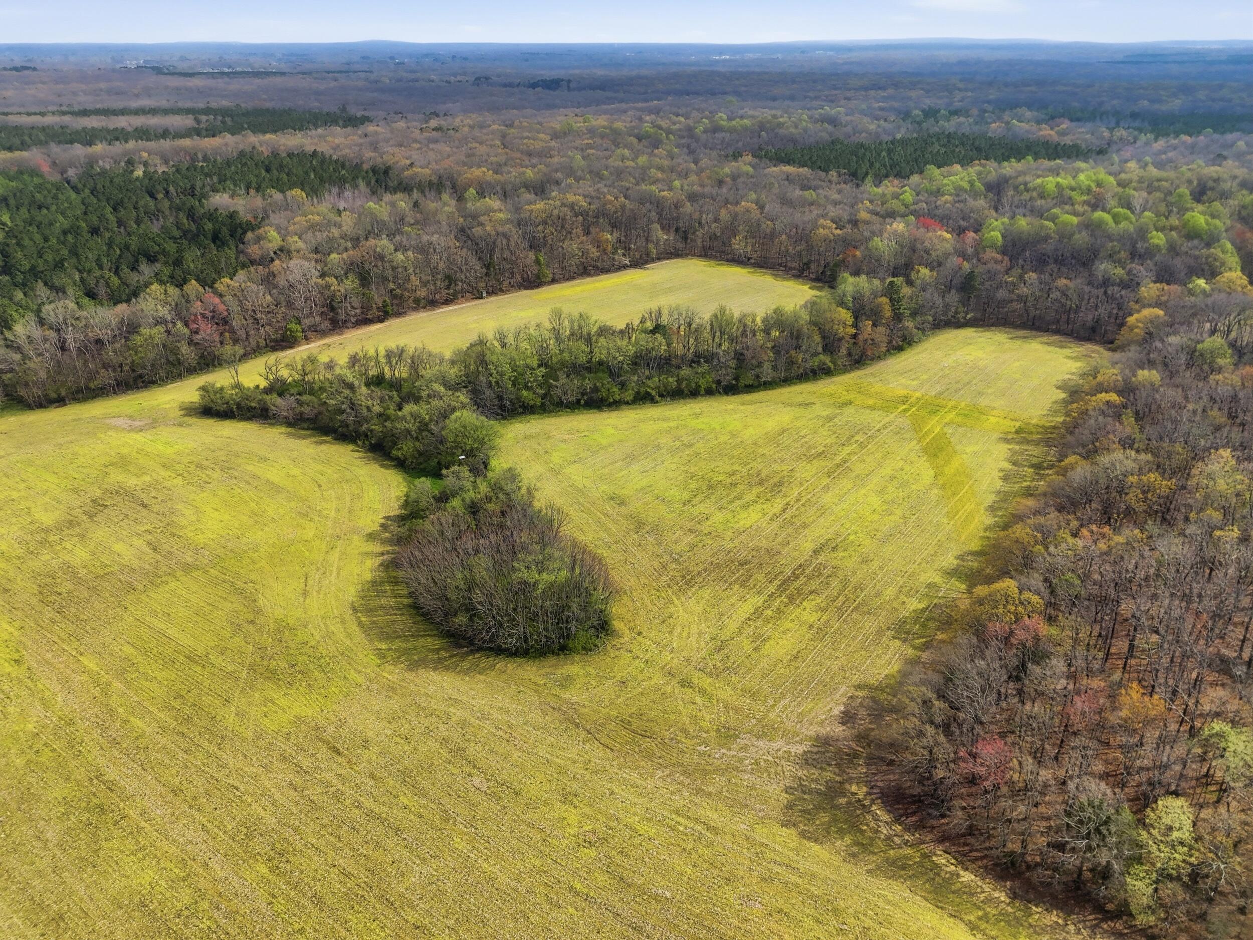 0 Bowling Alley Road Manchester, TN 37355 - Photo 18 of 18 dji_20260326235253_0053_d