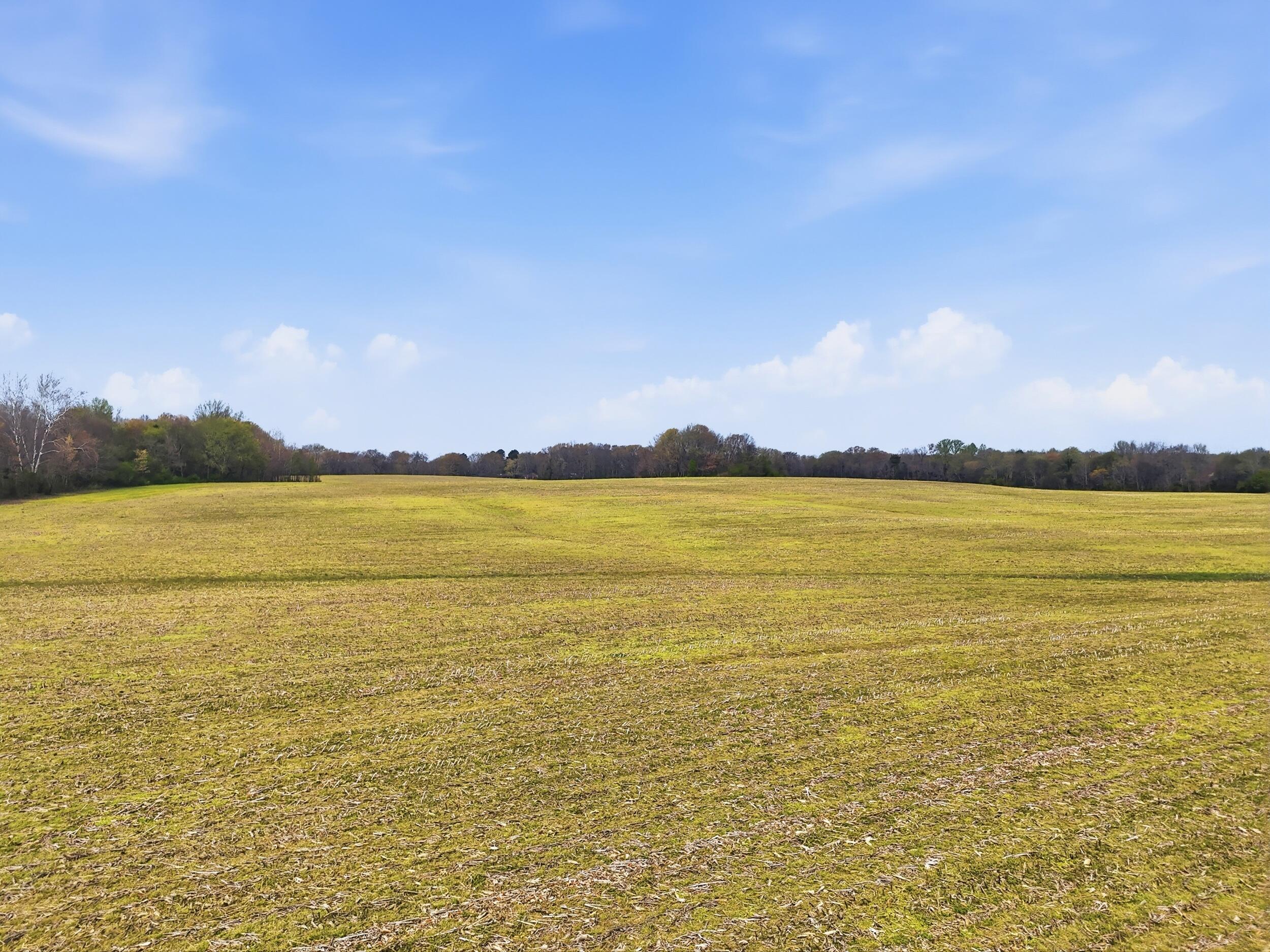 0 Bowling Alley Road Manchester, TN 37355 - Photo 5 of 18 dji_20260326235340_0058_d