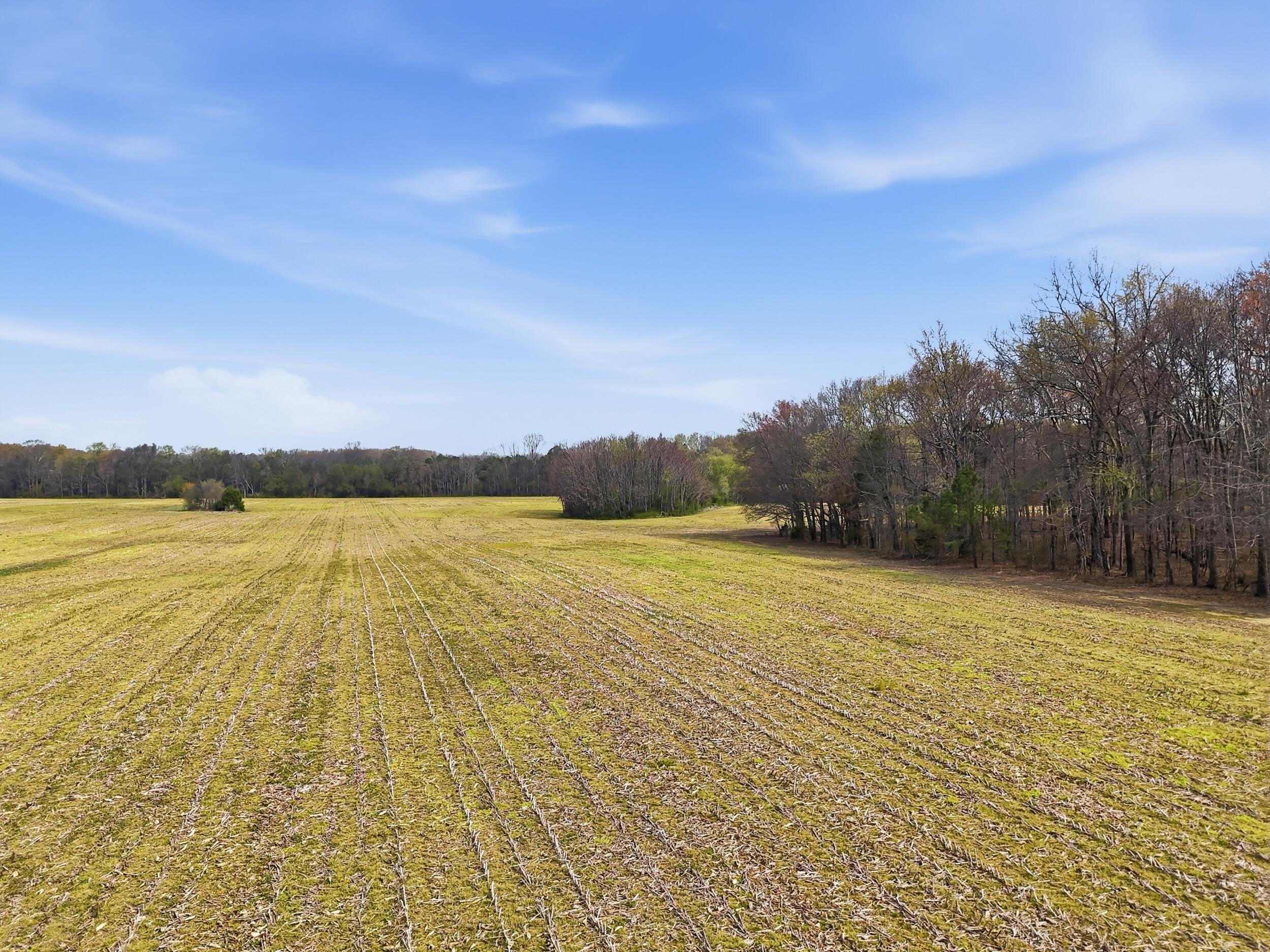 0 Bowling Alley Road Manchester, TN 37355 - Photo 6 of 18 dji_20260326235350_0063_d