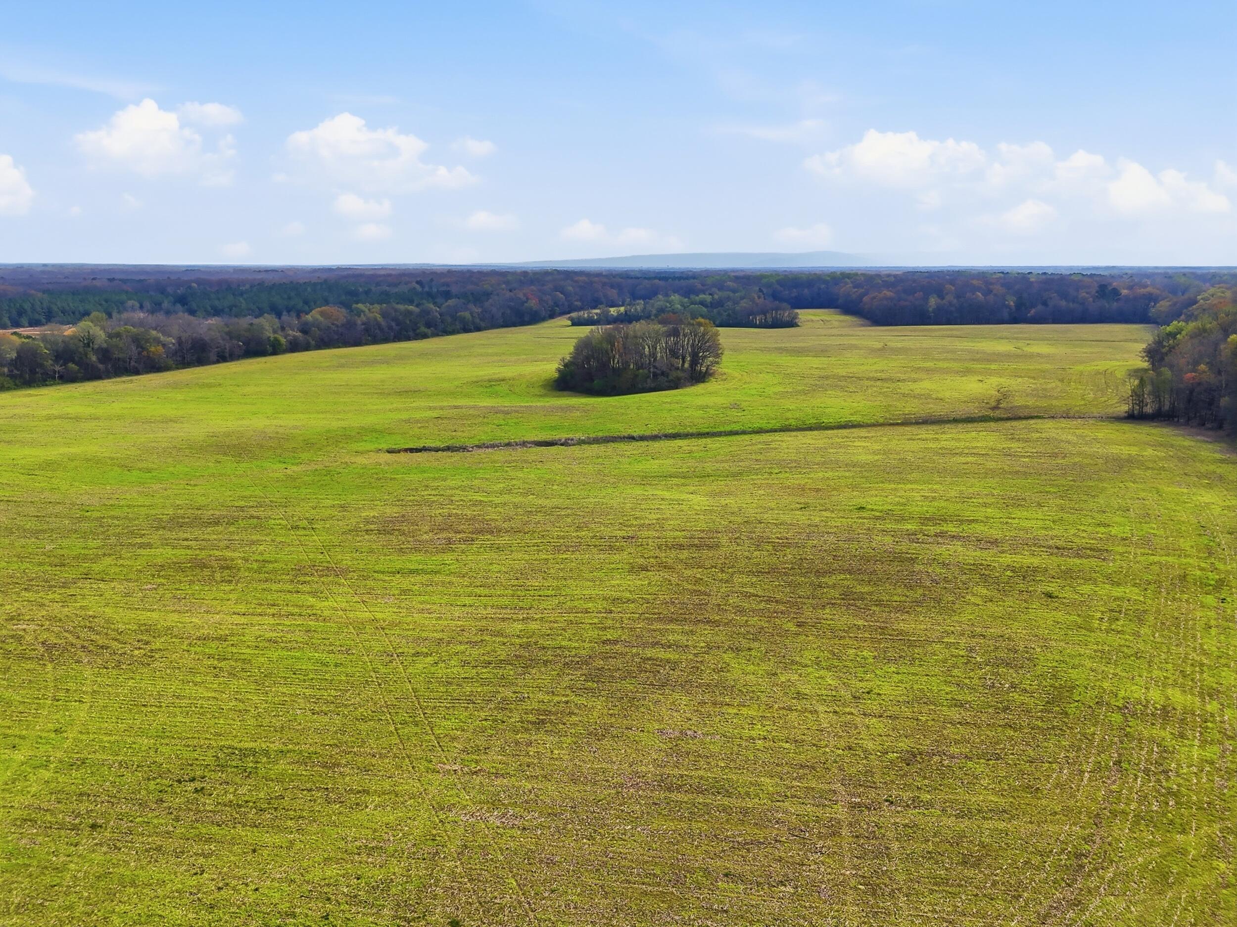 0 Bowling Alley Road Manchester, TN 37355 - Photo 9 of 18 dji_20260326235629_0078_d