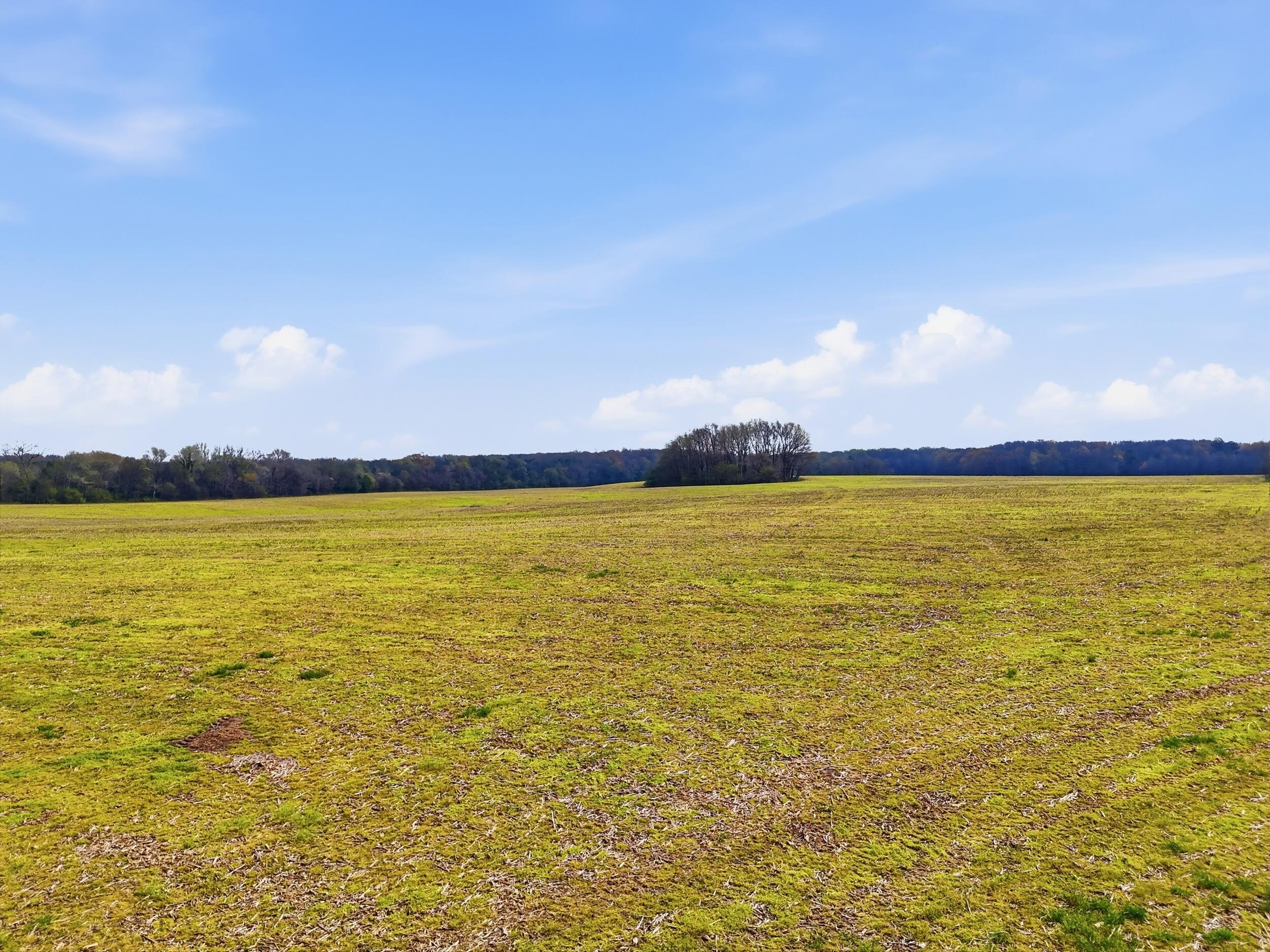 0 Bowling Alley Road Manchester, TN 37355 - Photo 10 of 18 dji_20260326235641_0083_d