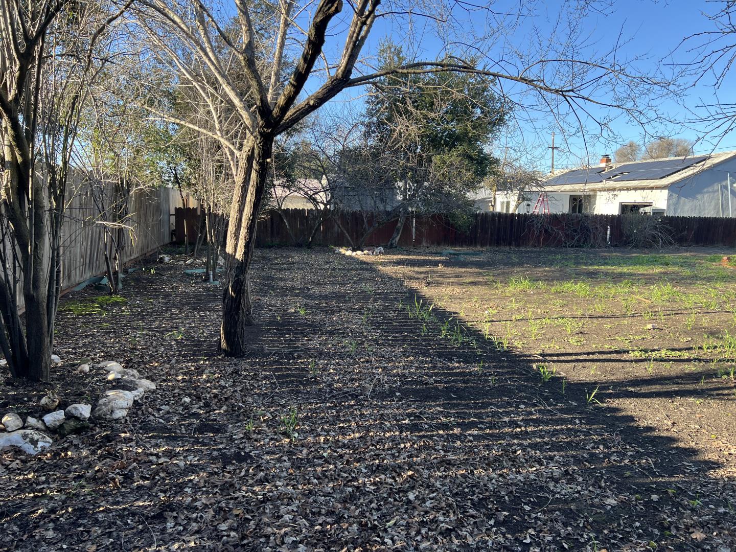 1311 Lexington Road Concord, CA 94520 - Photo 22 of 25 a view of a yard with trees