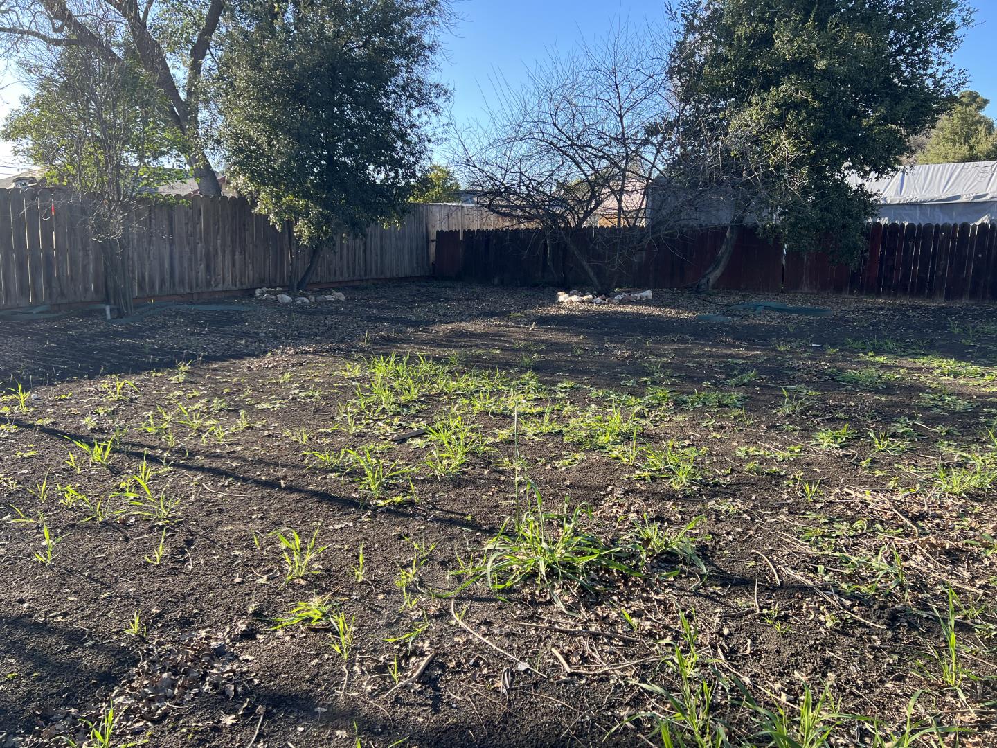 1311 Lexington Road Concord, CA 94520 - Photo 25 of 25 a view of a backyard