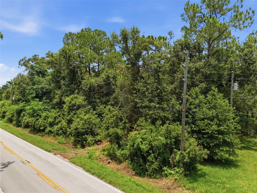 0 Old Dade City Road Kathleen, FL 33849 - Photo 23 of 29 Gallery Image 23