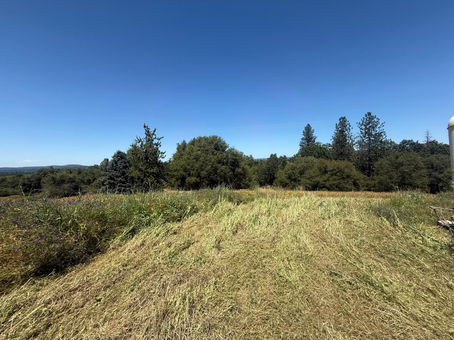2322 Myrick Road Somerset, CA 95684 - Photo 9 of 30 a view of an outdoor space and a yard