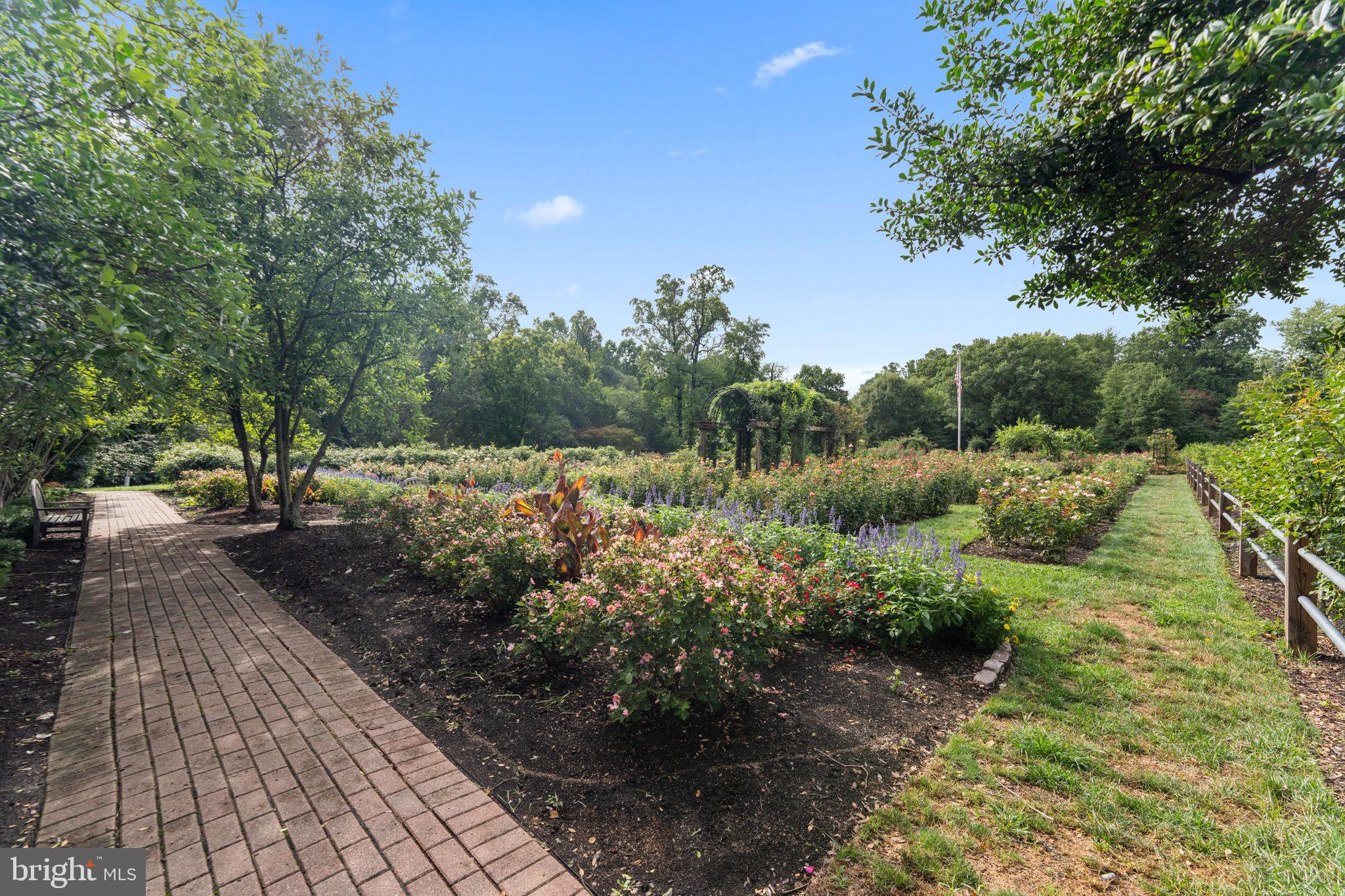 5111 8th Road South, Unit 111 Arlington, VA 22204 - Photo 35 of 42 Gallery Image 35