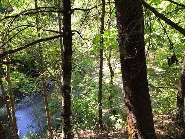 2121 Pleasant Creek Road Rogue River, OR 97537 - Photo 16 of 16 Additional Photo