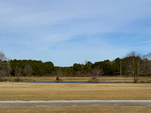 $424,900 | 976 Briarwood Court, Johnsonville, SC 29555