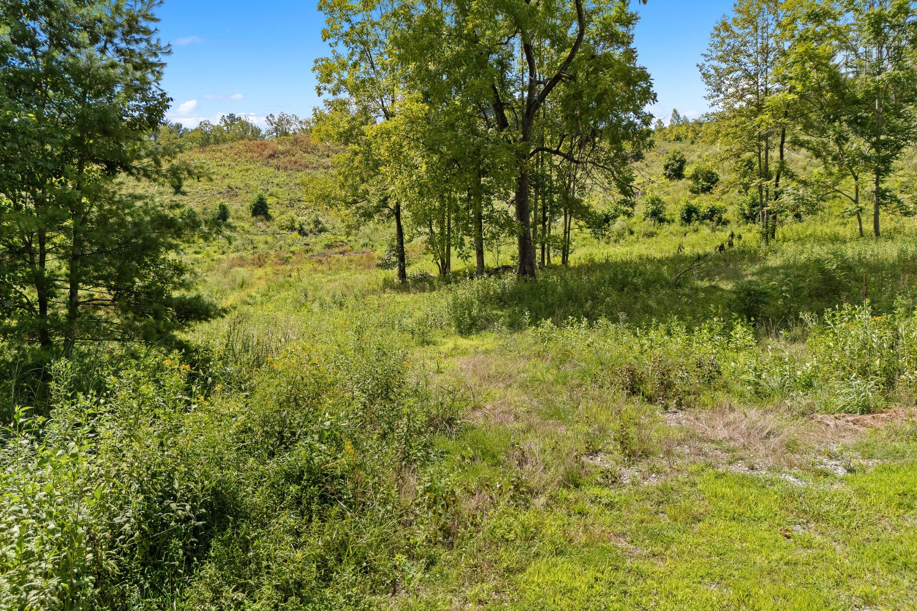 8261 Boones Chapel Road Boones Mill, VA 24065 - Photo 12 of 52 12-8261 Boones Chapel Rd_12