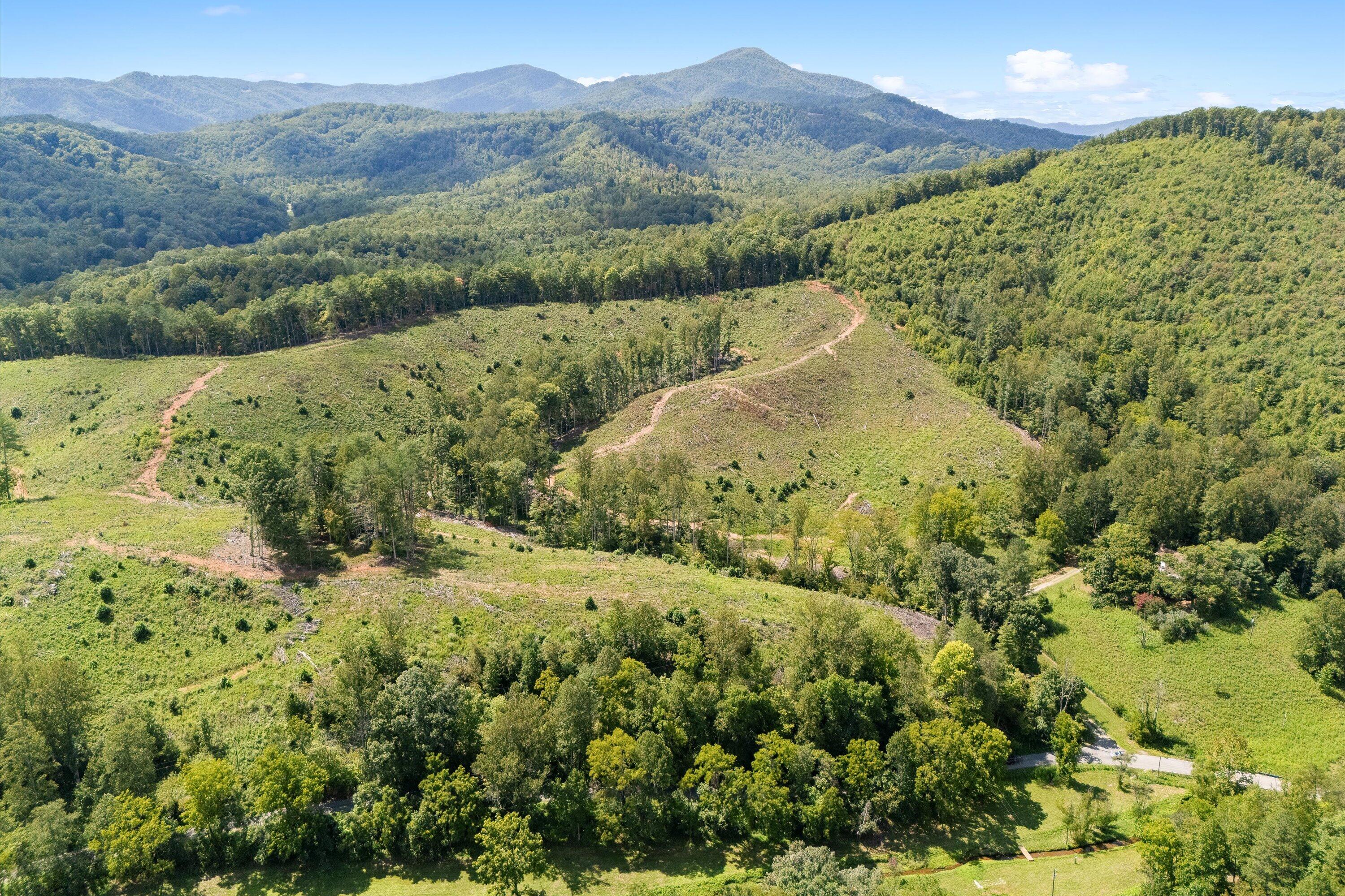 8261 Boones Chapel Road Boones Mill, VA 24065 - Photo 2 of 52 02-8261 Boones Chapel Rd_02