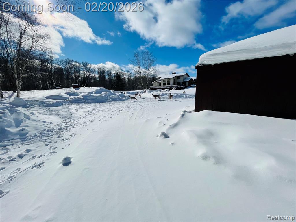 21805 South Wilwin Road Trout Lake, MI 49793 - Photo 34 of 54