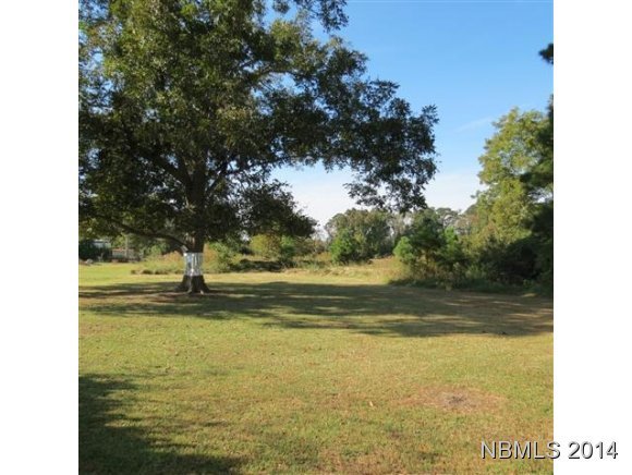 4033 Janiero Road Arapahoe, NC 28510 - Photo 11 of 13 Additional Photo