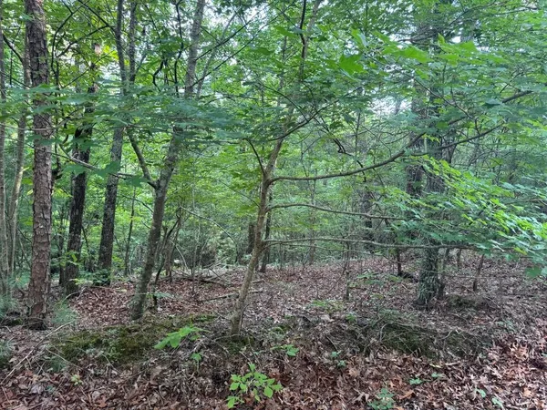 $17,000 | 793 Woodbine Lane, Ranger, GA 30734