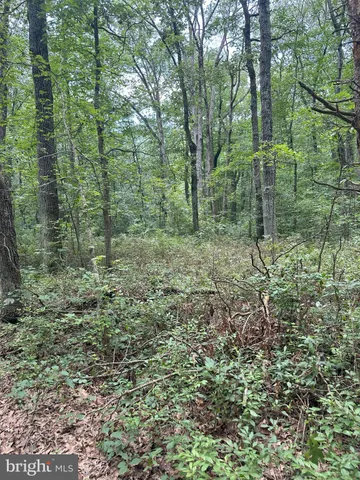 $529,000 | Temple Road, Marydel, MD 21649