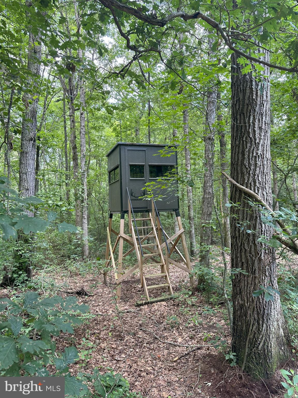 Temple Road Marydel, MD 21649 - Photo 14 of 18