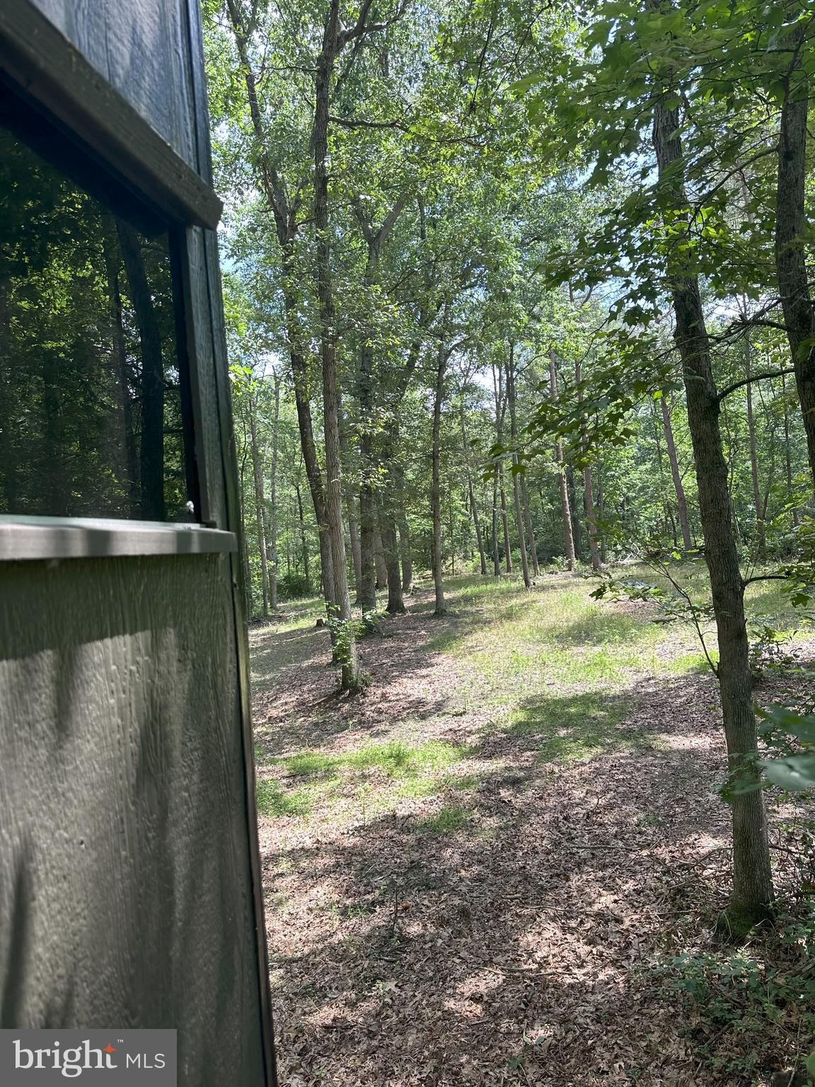 Temple Road Marydel, MD 21649 - Photo 15 of 18