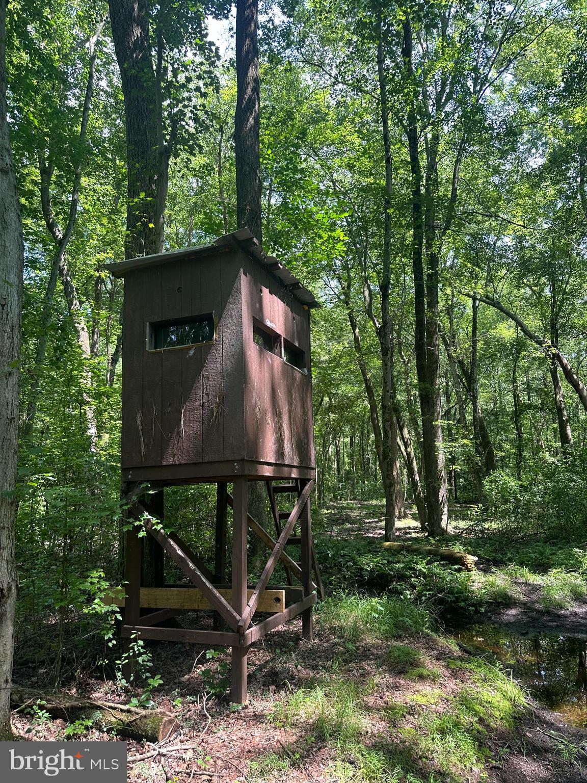 Temple Road Marydel, MD 21649 - Photo 4 of 18