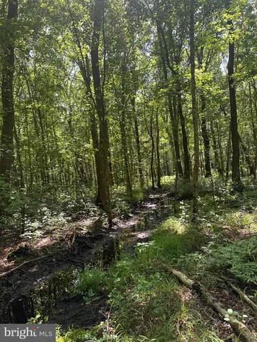 $529,000 | Temple Road, Marydel, MD 21649