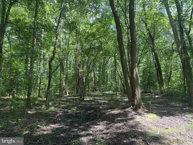 $529,000 | Temple Road, Marydel, MD 21649