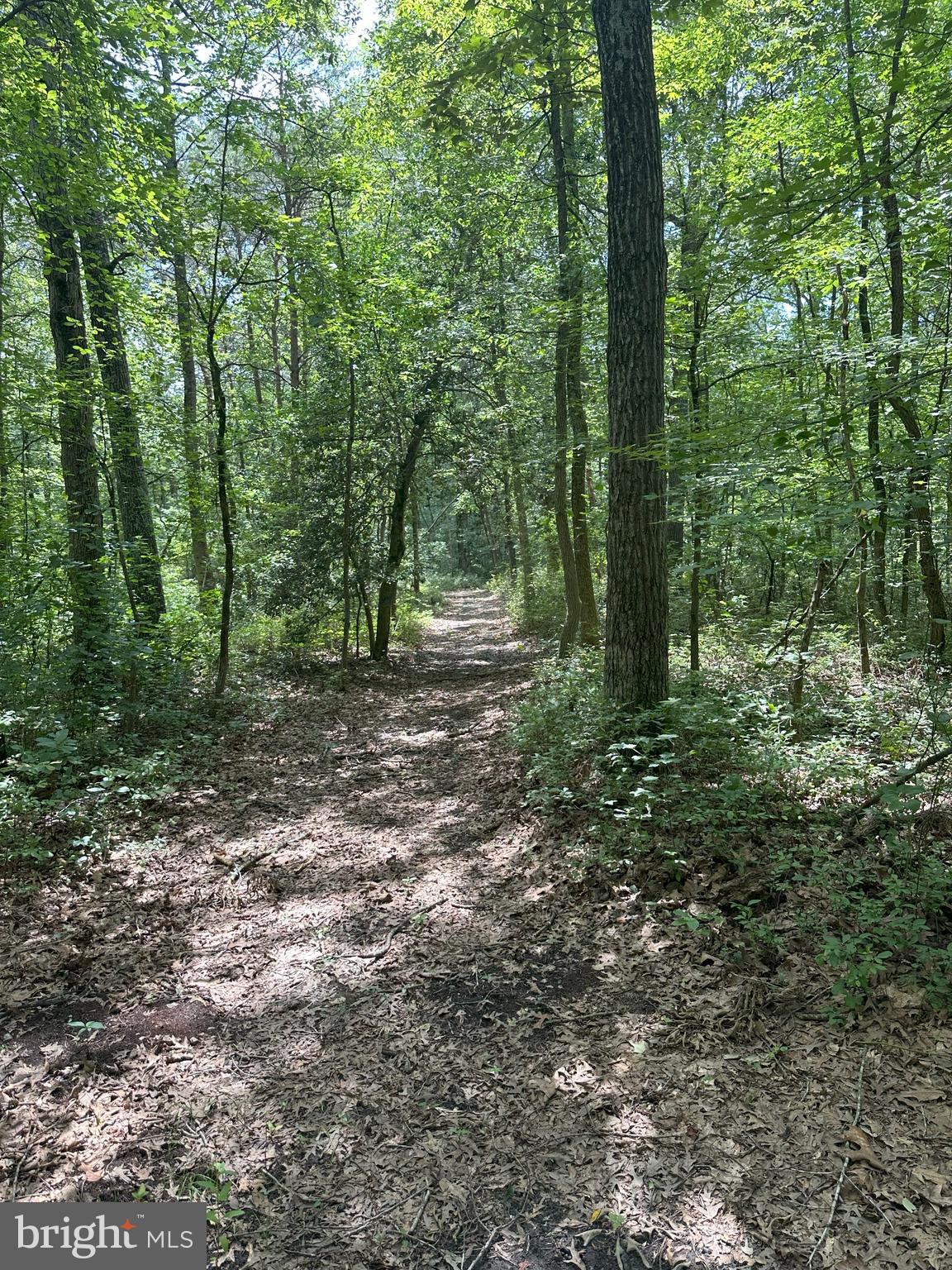 Temple Road Marydel, MD 21649 - Photo 10 of 18