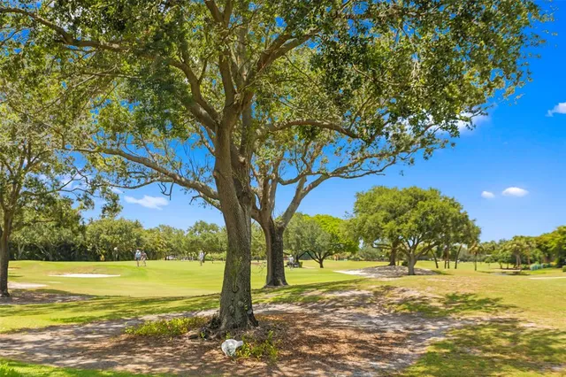 a view of a grassy field with trees