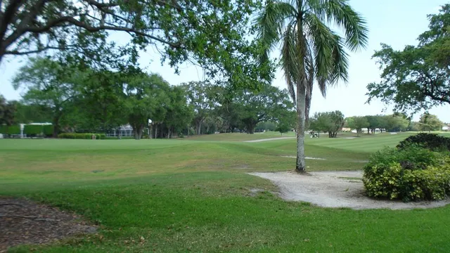 a view of a park with a tree