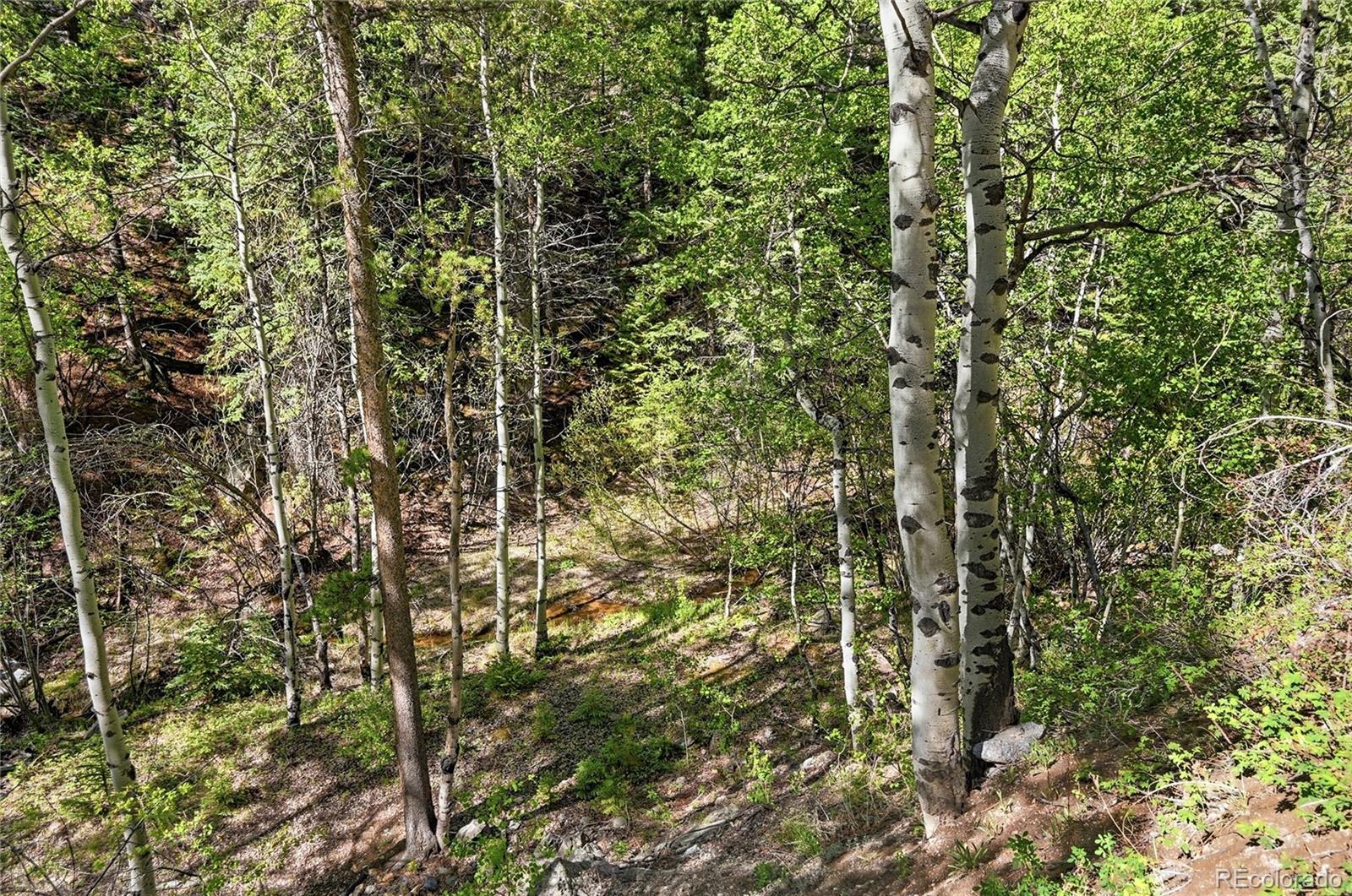 600 Ute Creek Road Idaho Springs, CO 80452 - Photo 19 of 24 a view of a house with a tree