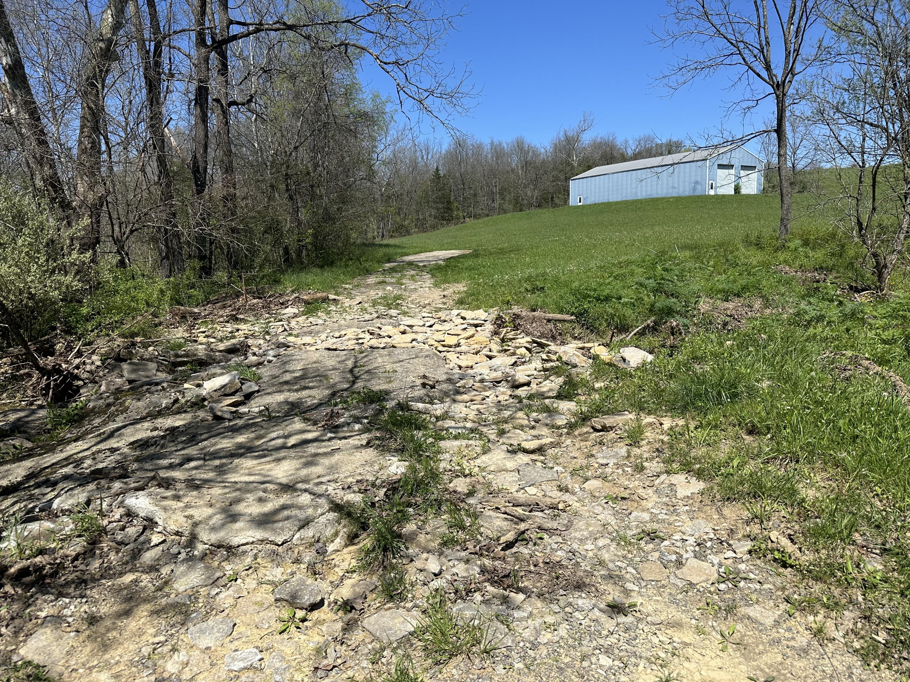 0 Leaning Oak Road Corinth, KY 41010 - Photo 13 of 13