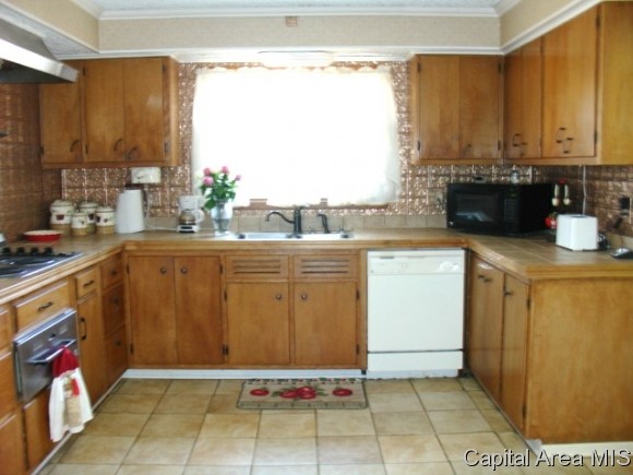 25 Fairview Lane Springfield, IL 62711 - Photo 8 of 18