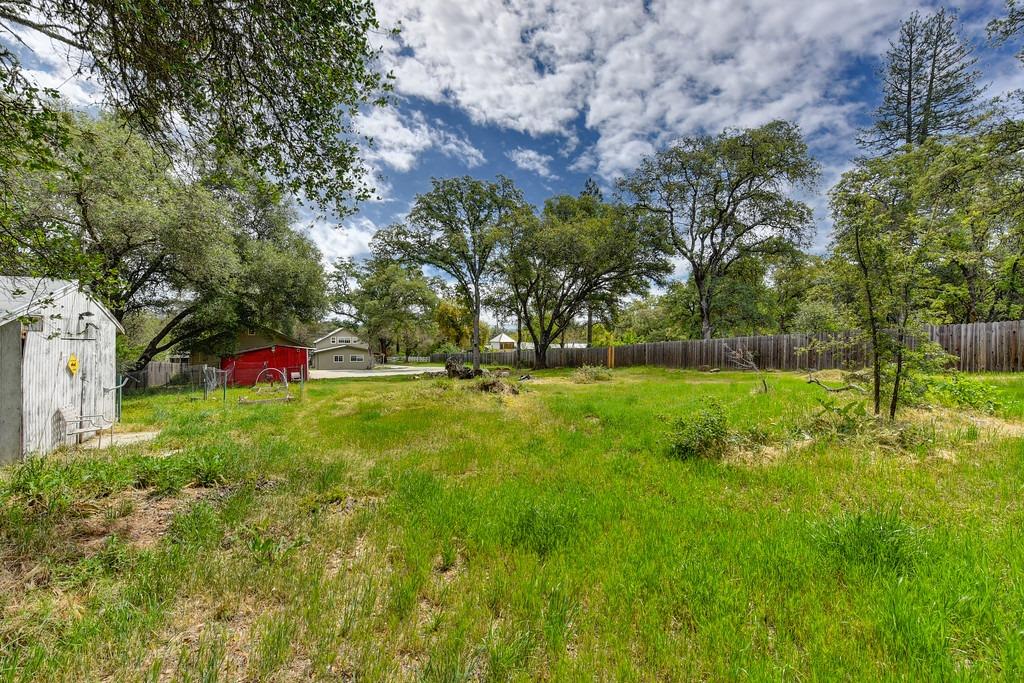 4524 Salmon Falls Road Pilot Hill, CA 95664 - Photo 45 of 47 a view of green field