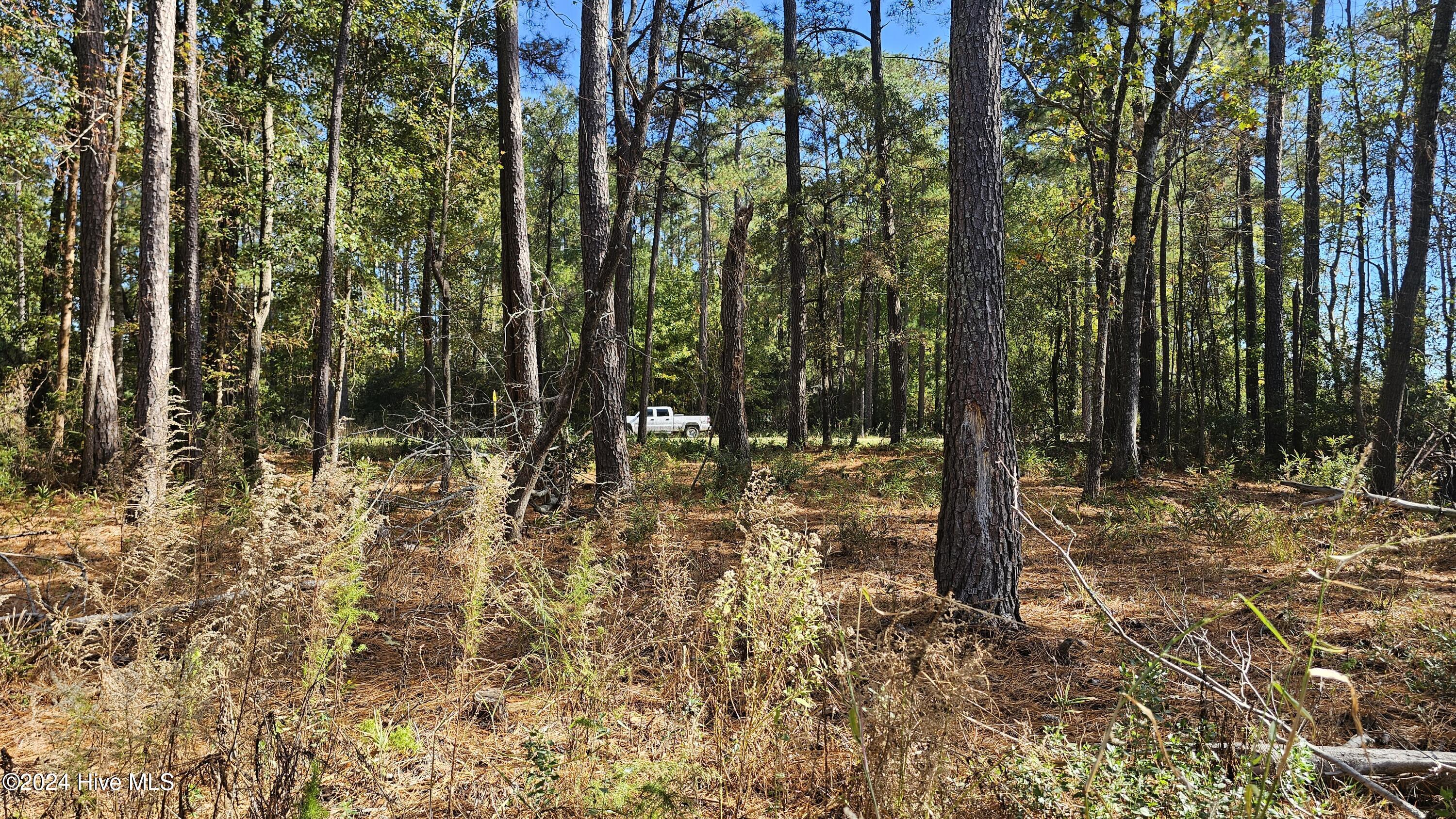 0 Barnes Foster Loop Road Belhaven, NC 27810 - Photo 4 of 7 20241116_120926