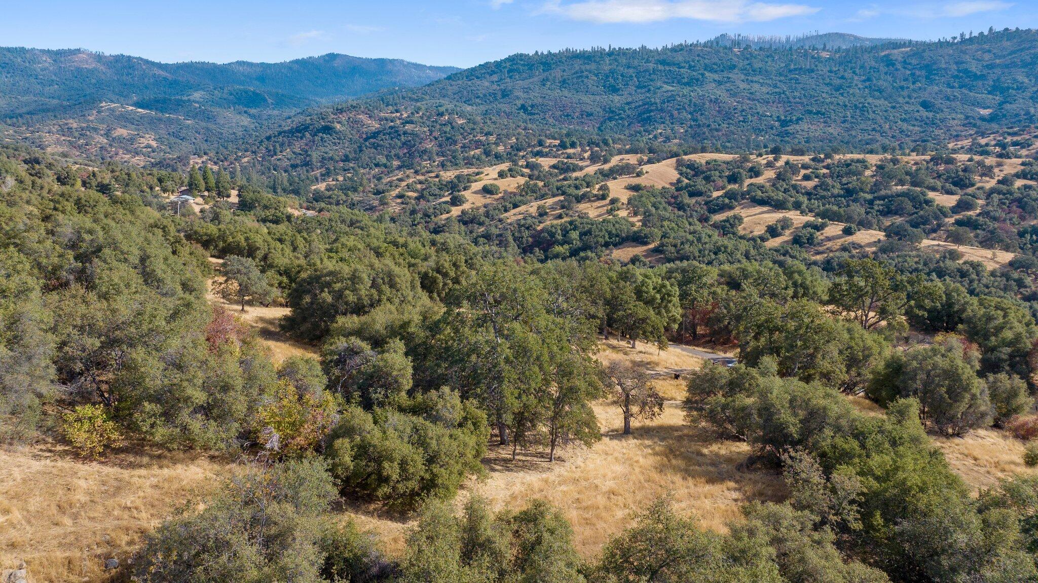 0 Whitaker Forest Road Badger, CA 93603 - Photo 9 of 13 10-web-or-mls-DJI_20241007094402_0426_D