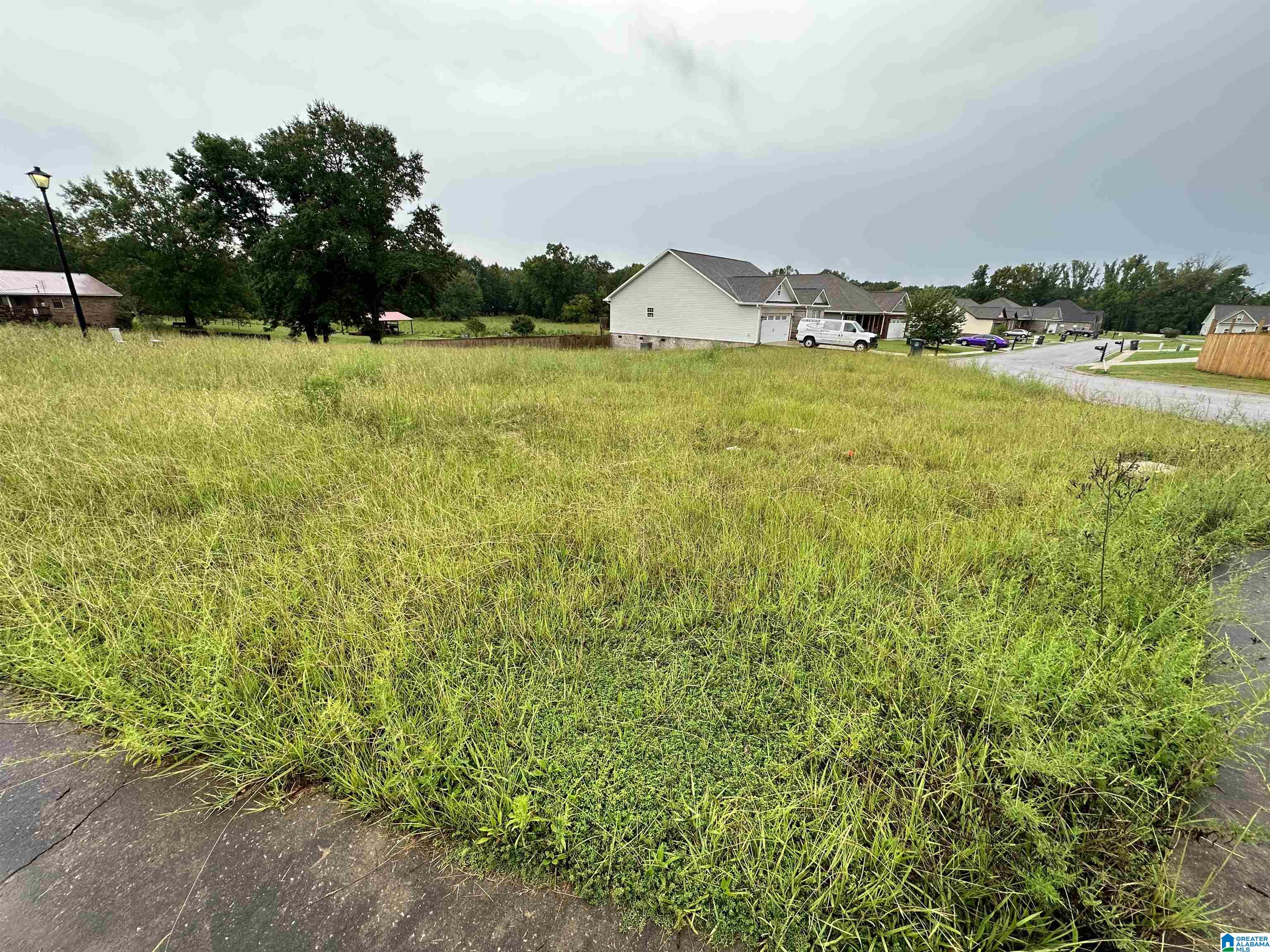 0 Camerons Way, Unit 39 Lincoln, AL 35096 - Photo 4 of 6