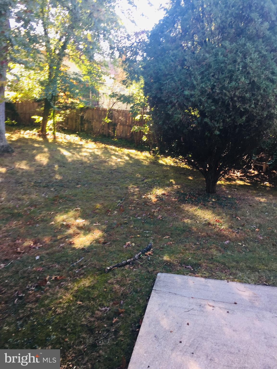 1719 Lorre Drive Rockville, MD 20852 - Photo 12 of 15