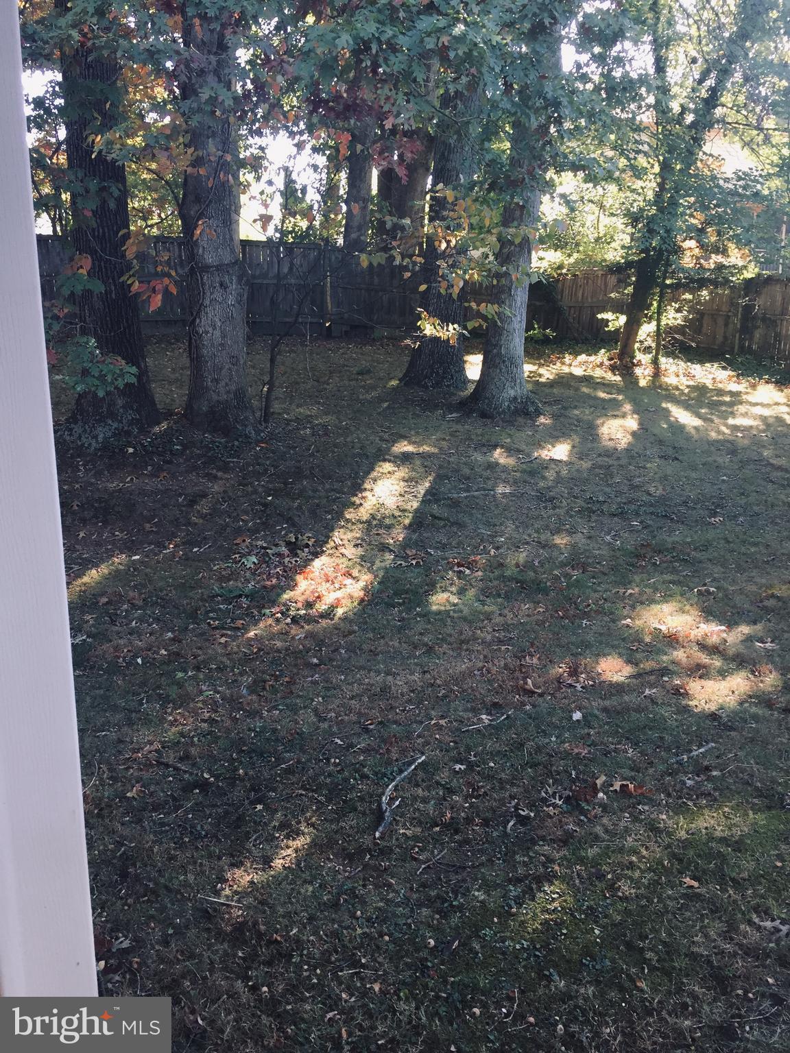 1719 Lorre Drive Rockville, MD 20852 - Photo 13 of 15