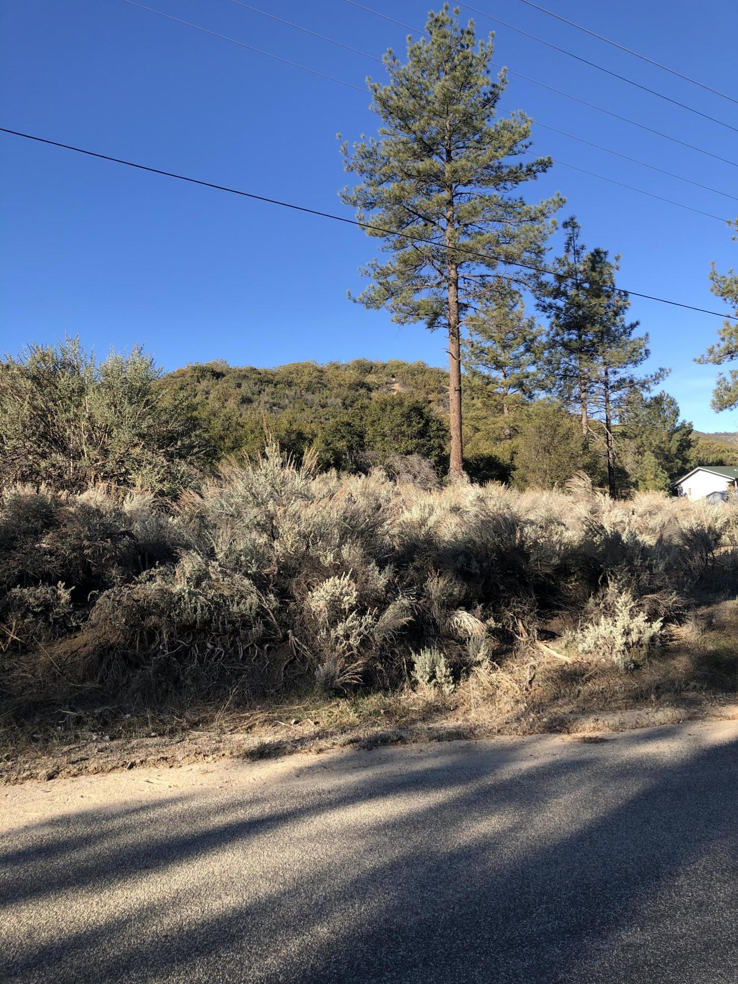 27 Pipe Creek Road Mountain Center, CA 92561 - Photo 2 of 5 IMG_2538 2