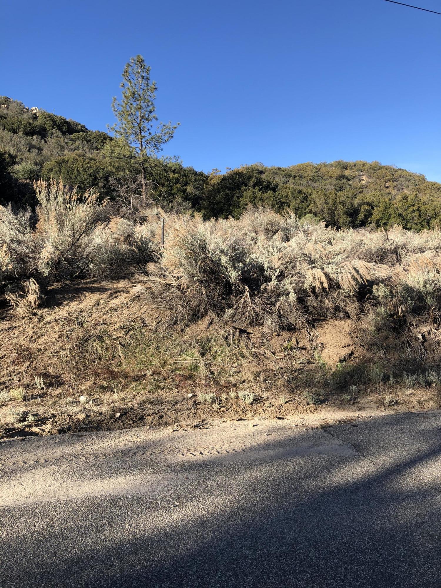 27 Pipe Creek Road Mountain Center, CA 92561 - Photo 4 of 5 IMG_2539