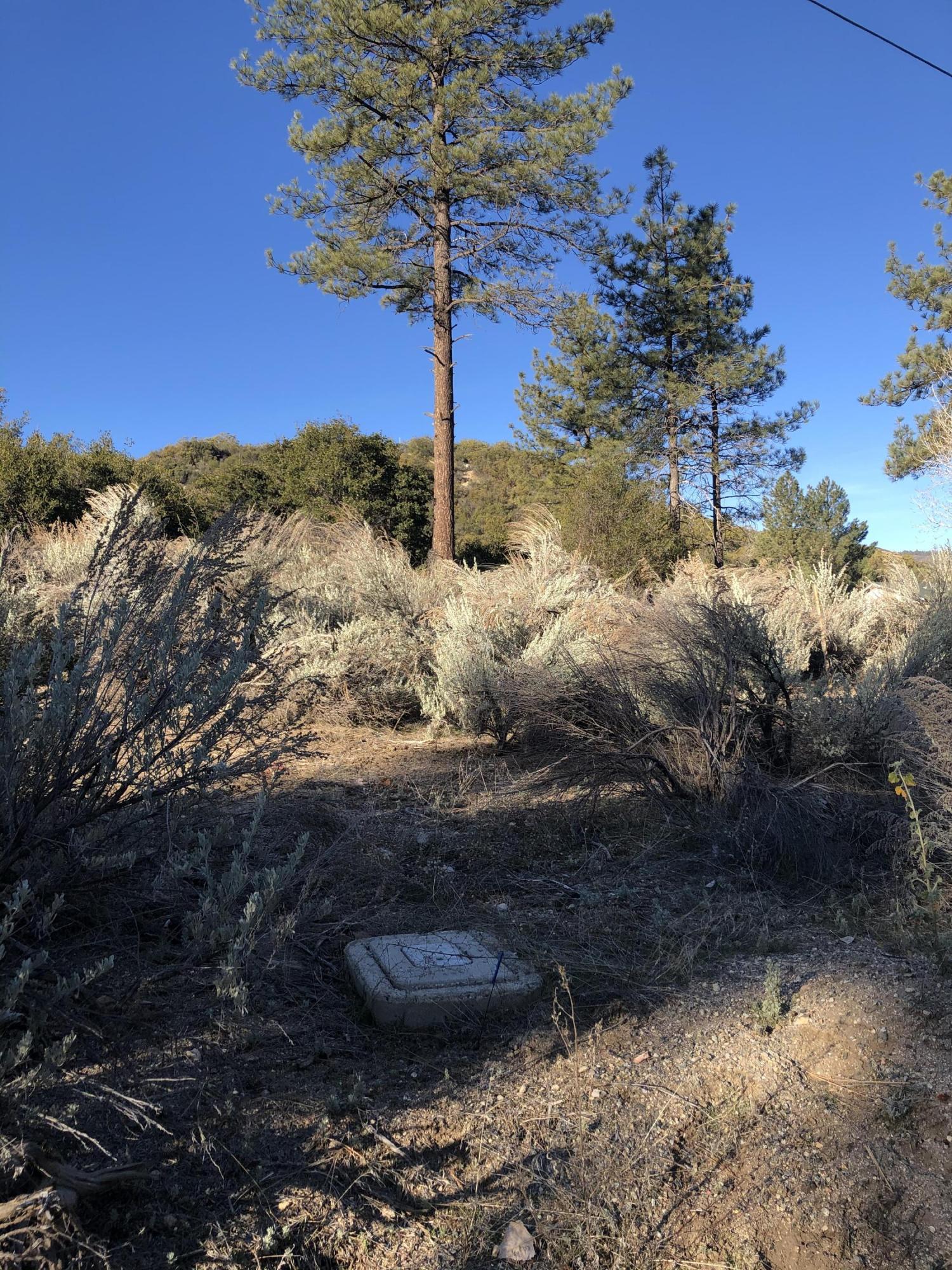 27 Pipe Creek Road Mountain Center, CA 92561 - Photo 5 of 5 IMG_2541 2
