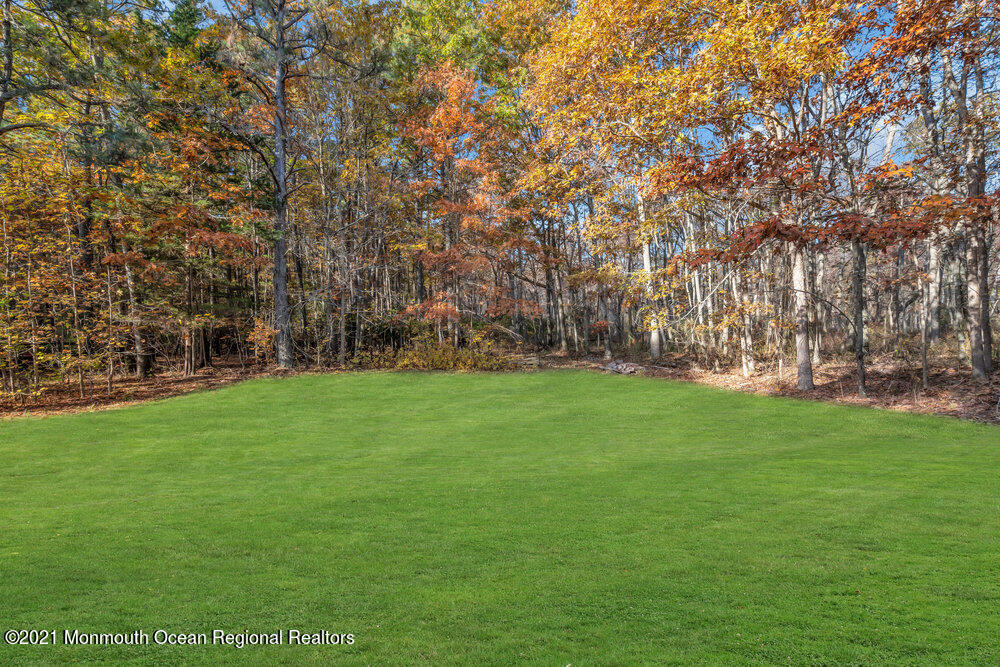 146 Cedar Swamp Road Jackson, NJ 08527 - Photo 46 of 48 a view of yard with green space