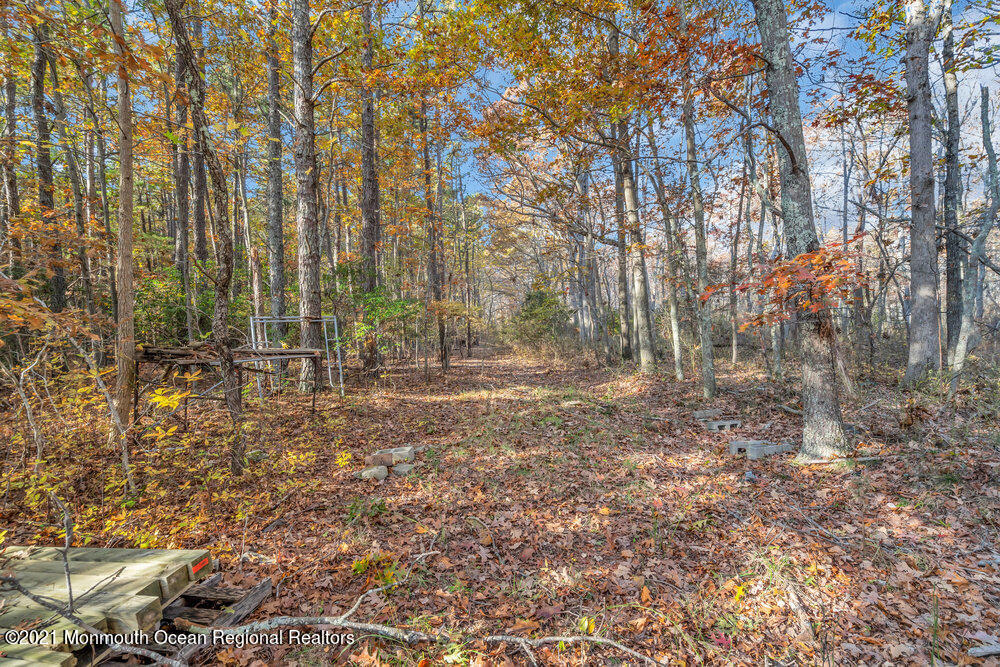 146 Cedar Swamp Road Jackson, NJ 08527 - Photo 47 of 48 a view of outdoor space with trees