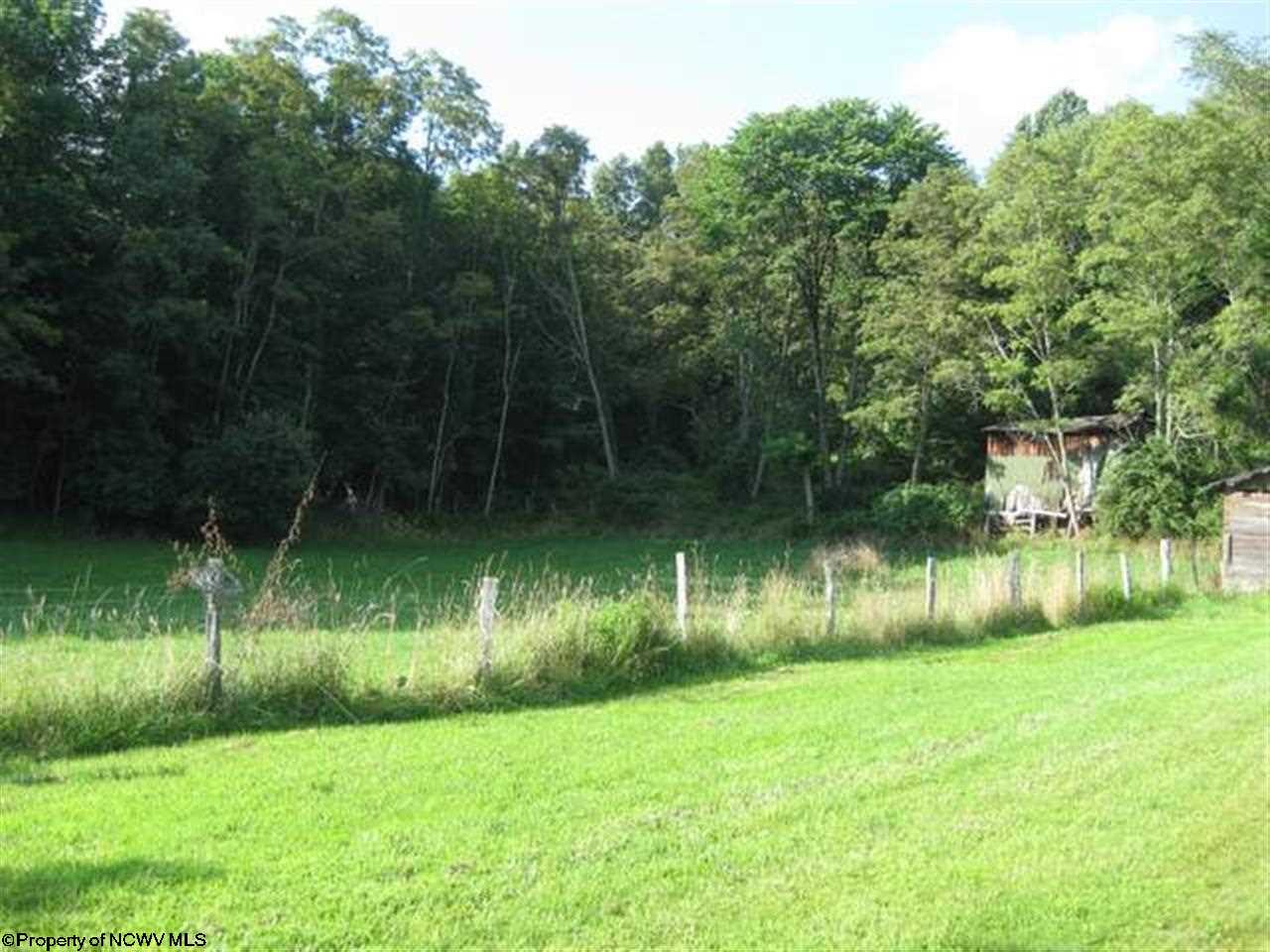 15691 Dry Fork Road Davis, WV 26260 - Photo 3 of 10 Gallery Image 3